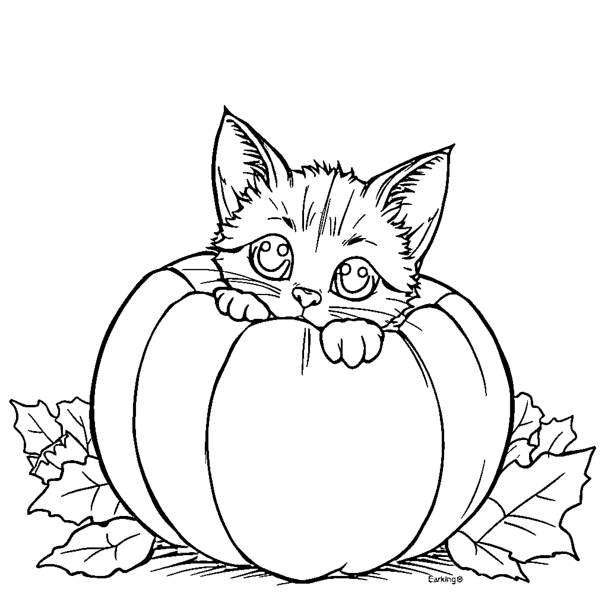 Cat peeking out from pumpkin Coloring Page (free black-and-white line drawing printable PDF for all, from beginners to advanced learners, including children, teens, adults, and seniors)