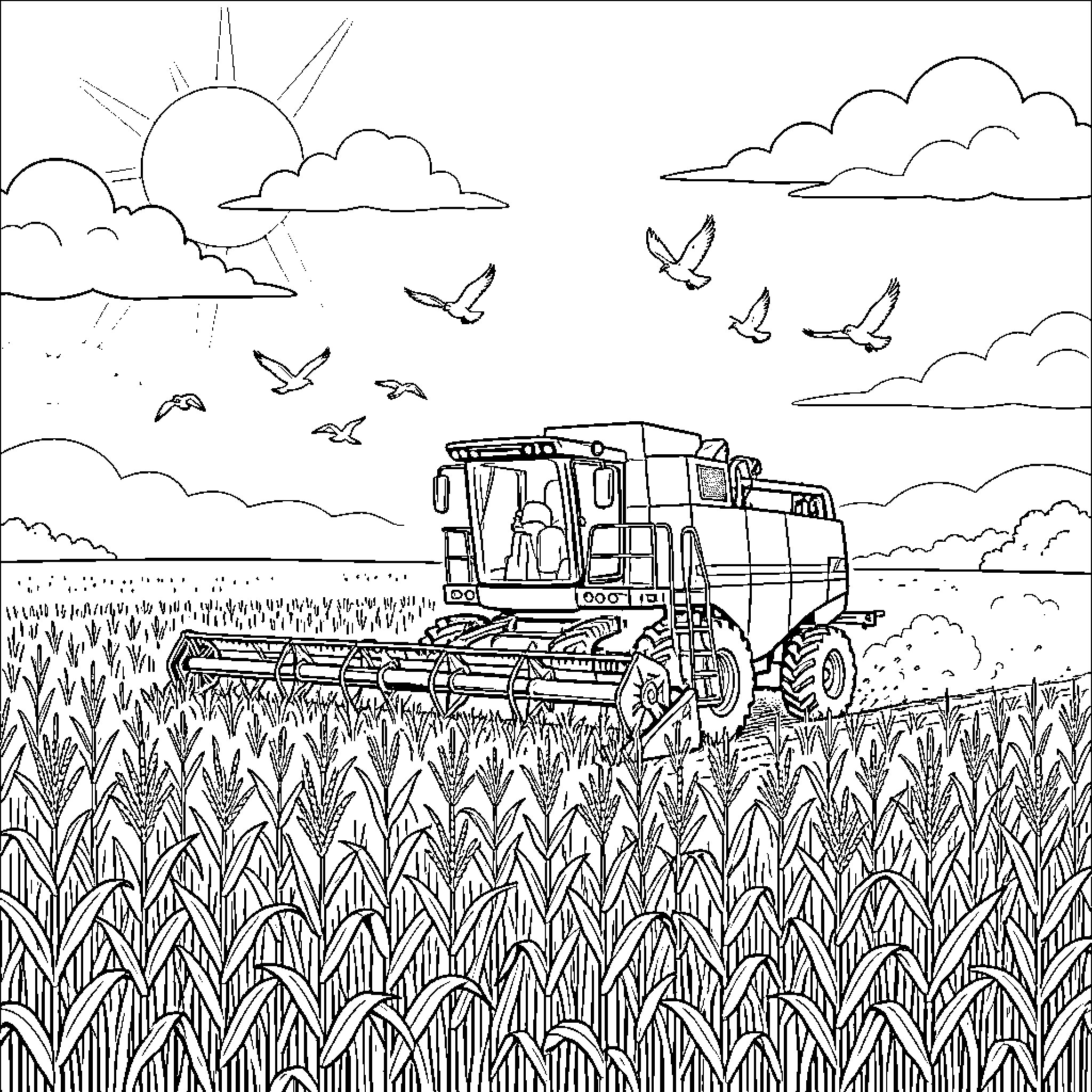 Mähdrescher harvesting in the countryside Coloring Page (free black-and-white line drawing printable PDF for all, from beginners to advanced learners, including children, teens, adults, and seniors)