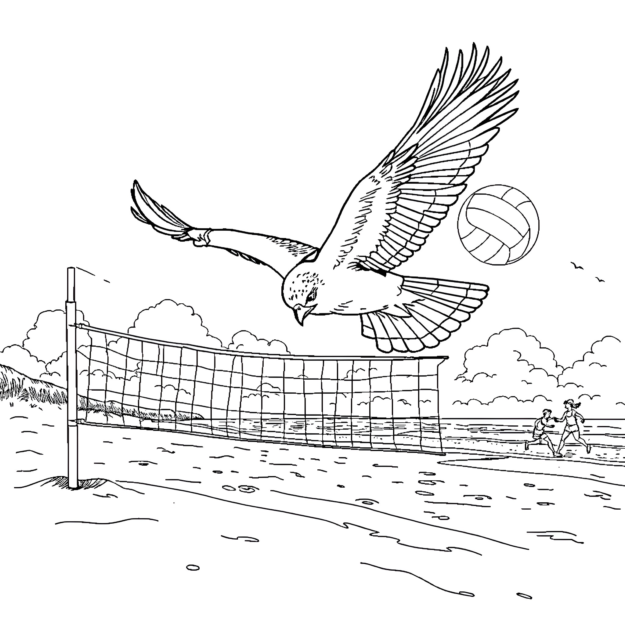 Falcon soaring over a volleyball net Coloring Page (free black-and-white line drawing printable PDF for all, from beginners to advanced learners, including children, teens, adults, and seniors)