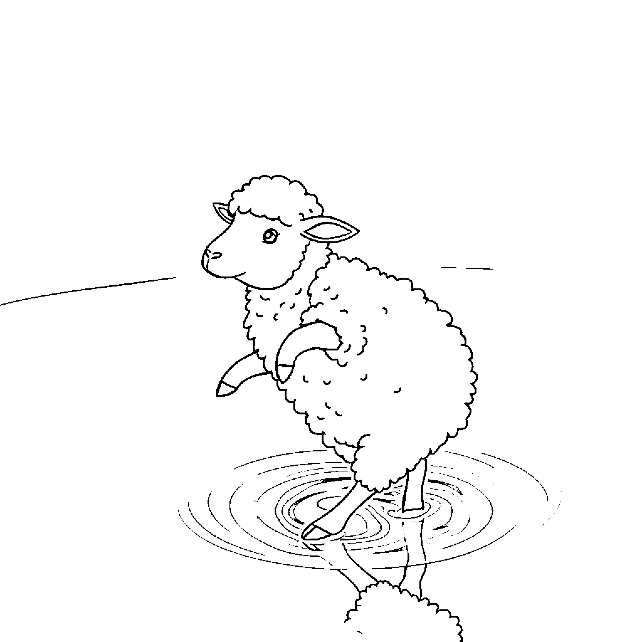 Sheep splashing in puddle Coloring Page (free black-and-white line drawing printable PDF for all, from beginners to advanced learners, including children, teens, adults, and seniors)