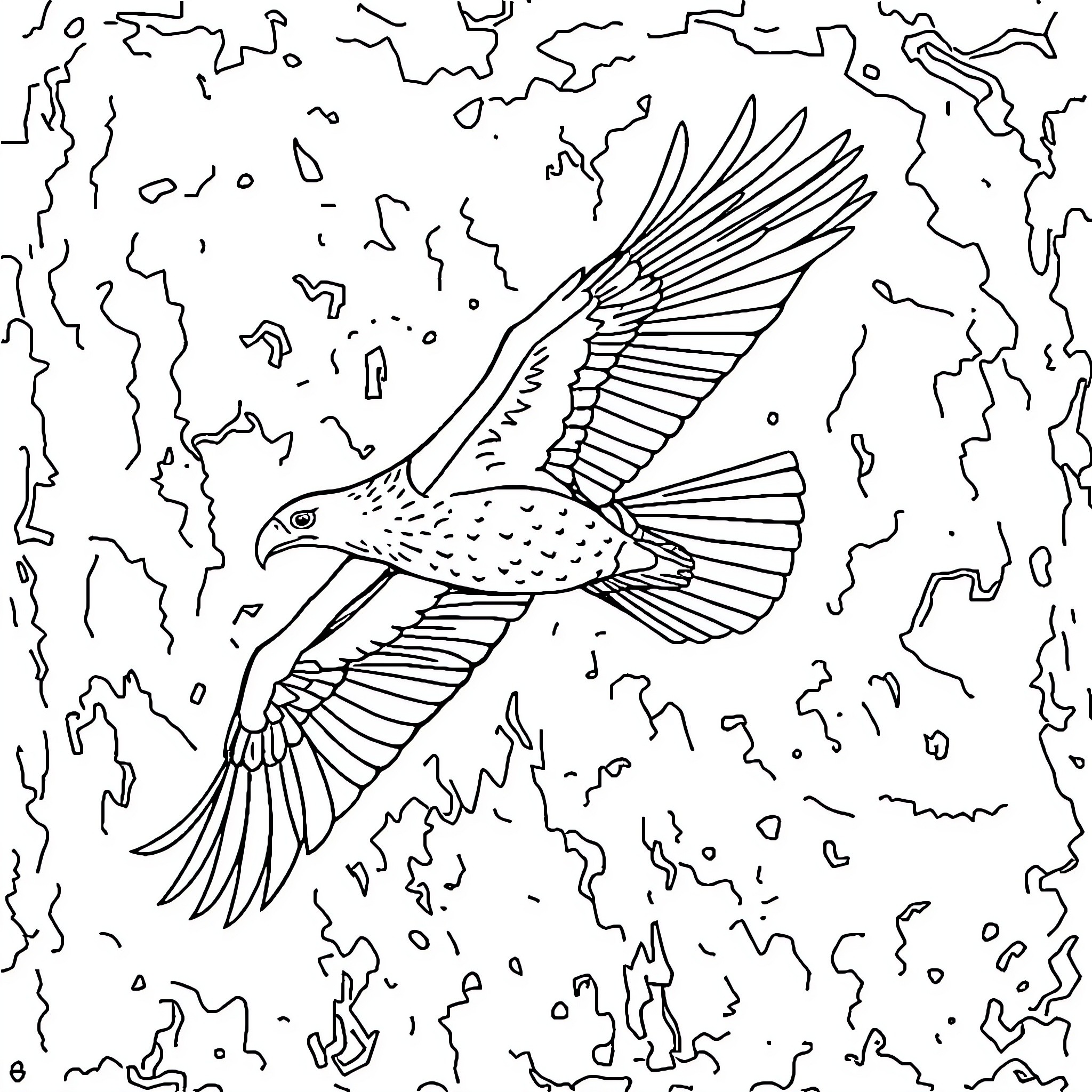Eagle soaring gracefully through the clouds Coloring Page (free black-and-white line drawing printable PDF for all, from beginners to advanced learners, including children, teens, adults, and seniors)