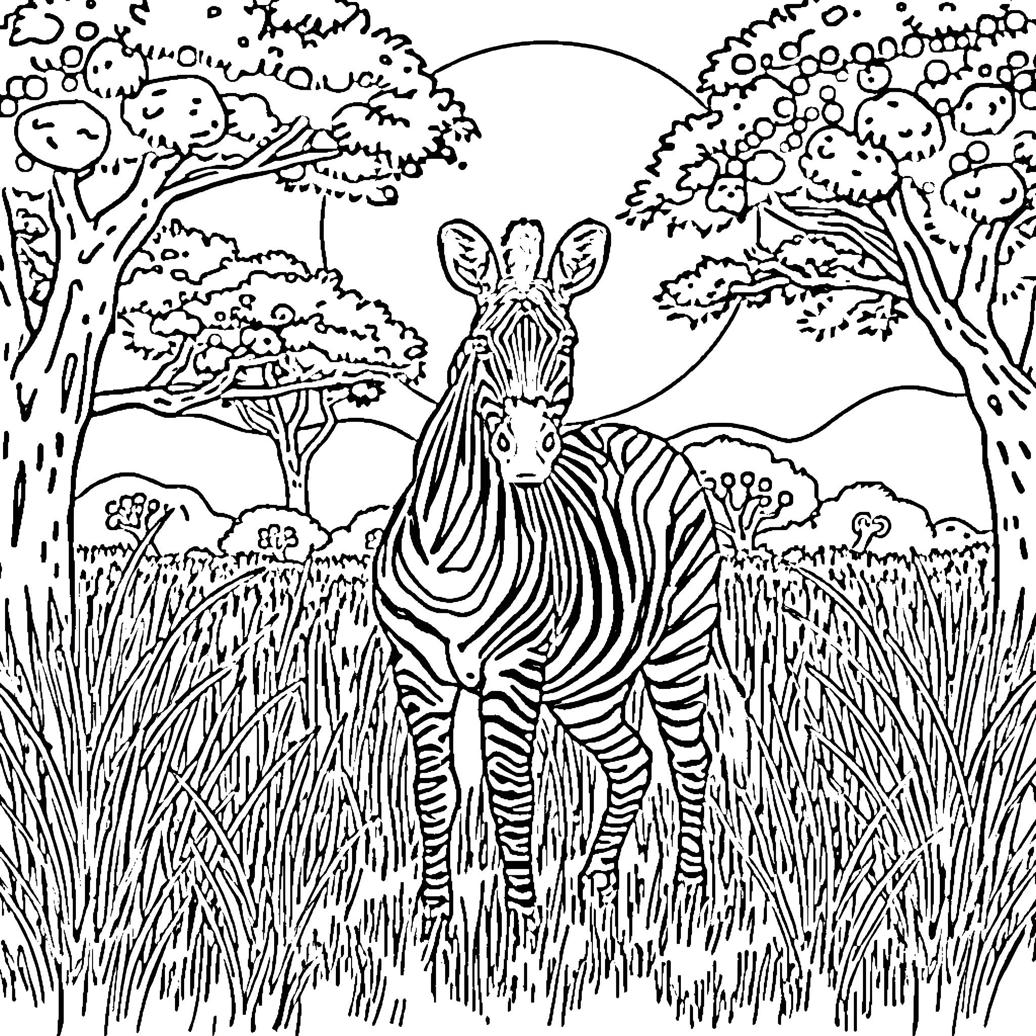 Zebra standing in the savanna landscape Coloring Page (free black-and-white line drawing printable PDF for all, from beginners to advanced learners, including children, teens, adults, and seniors)