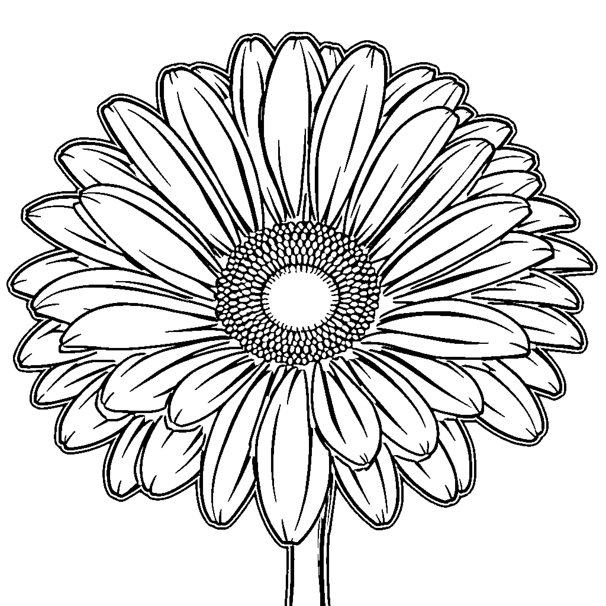 Gerbera Daisy Illustration Coloring Page (free black-and-white line drawing printable PDF for all, from beginners to advanced learners, including children, teens, adults, and seniors)