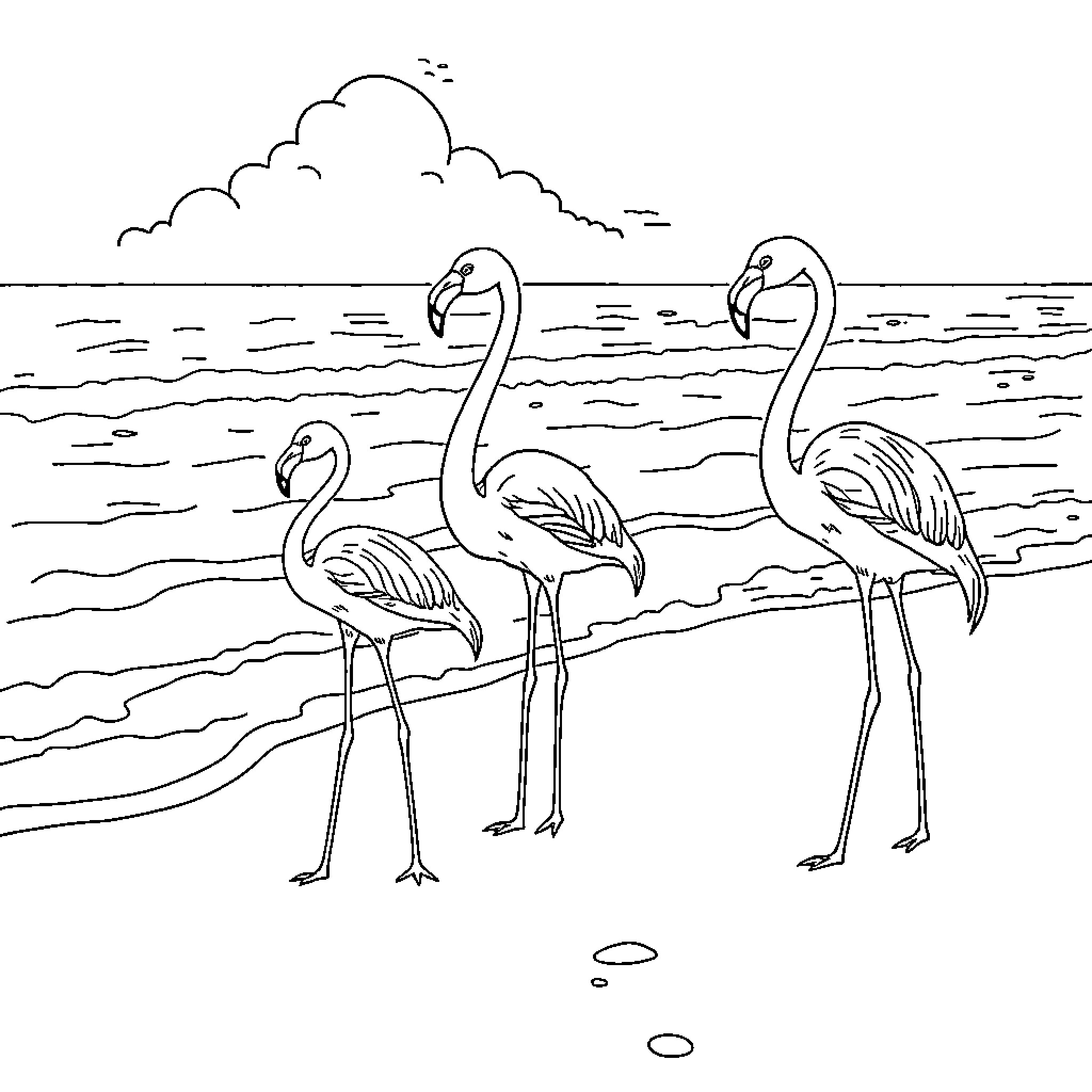 Flamingos enjoying a peaceful beach scene Coloring Page (free black-and-white line drawing printable PDF for all, from beginners to advanced learners, including children, teens, adults, and seniors)