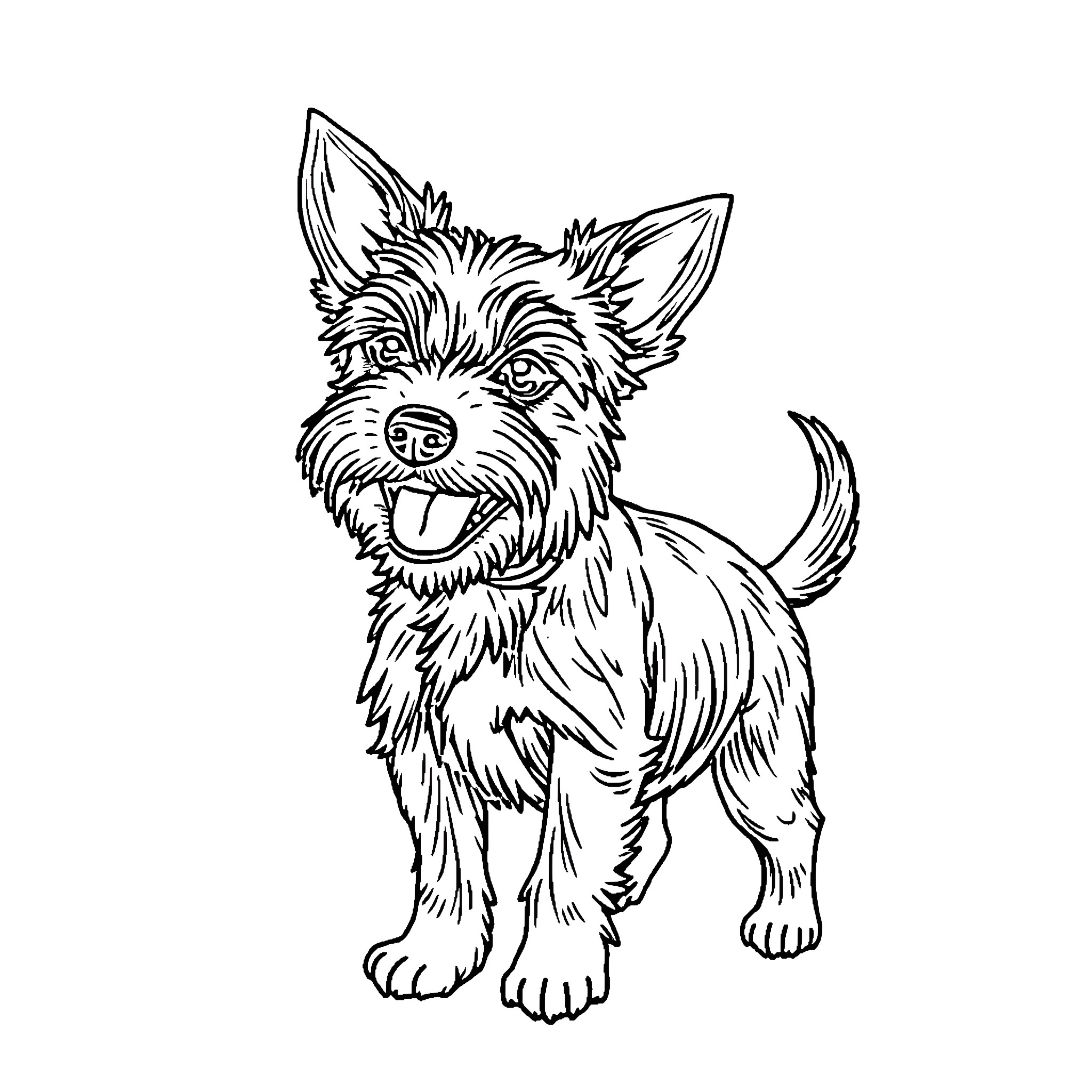 Border Terrier with lively expression Coloring Page (free black-and-white line drawing printable PDF for all, from beginners to advanced learners, including children, teens, adults, and seniors)