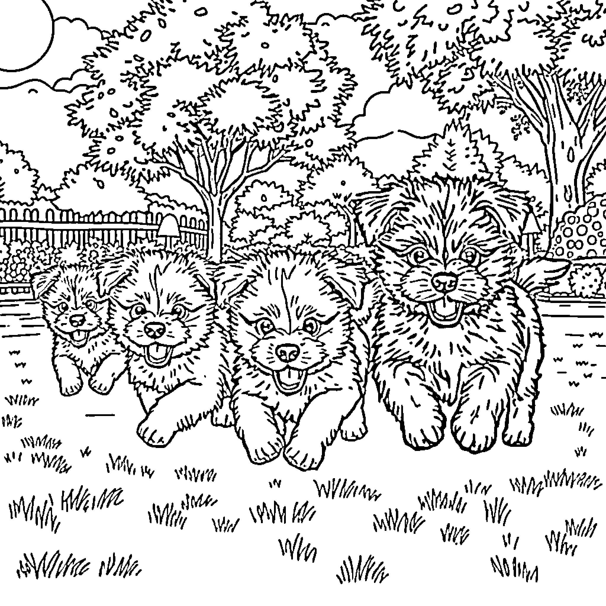 Puppy friends playing happily in the garden Coloring Page (free black-and-white line drawing printable PDF for all, from beginners to advanced learners, including children, teens, adults, and seniors)