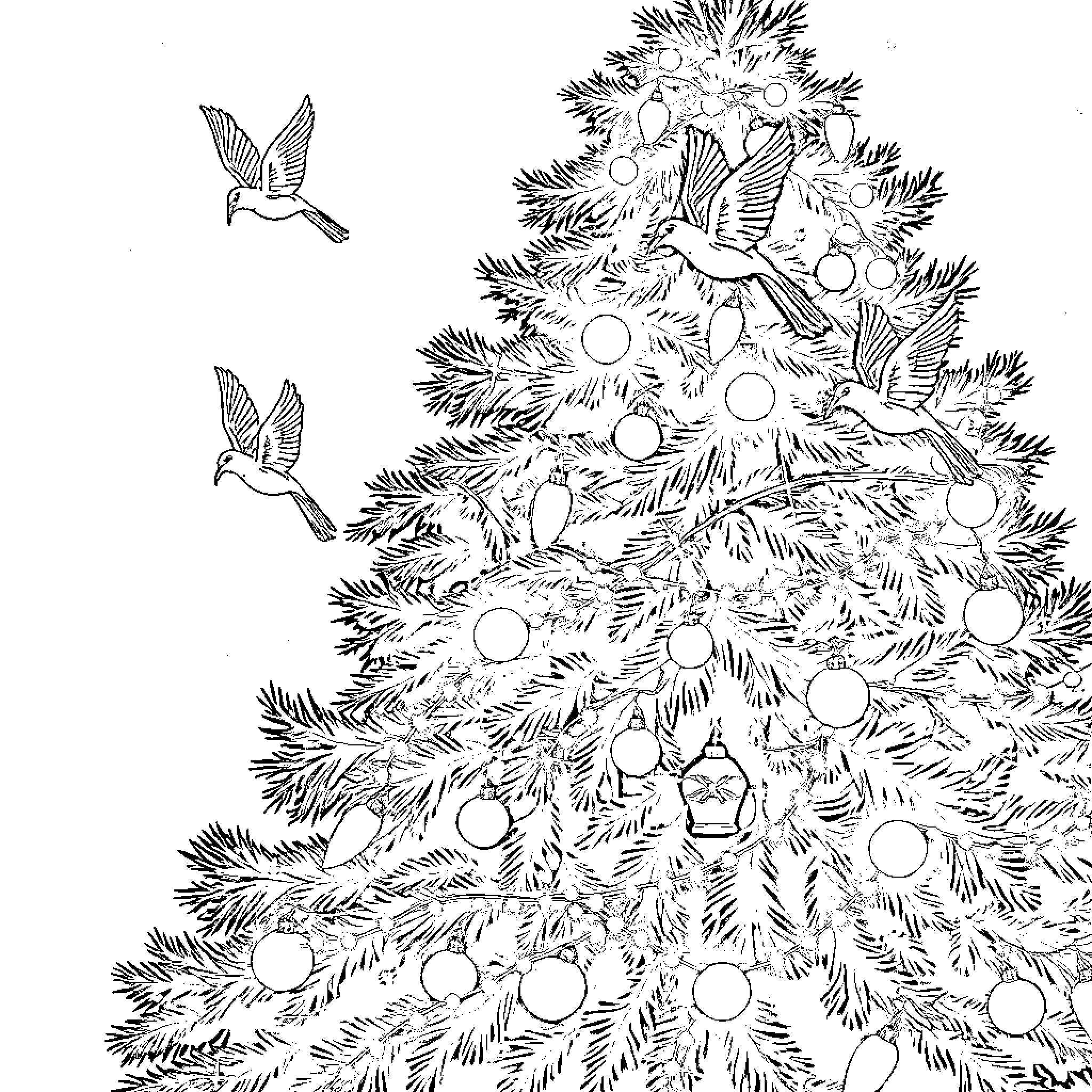 Tannenbaum with Decorative Ornaments and Hummingbirds Coloring Page (free black-and-white line drawing printable PDF for all, from beginners to advanced learners, including children, teens, adults, and seniors)