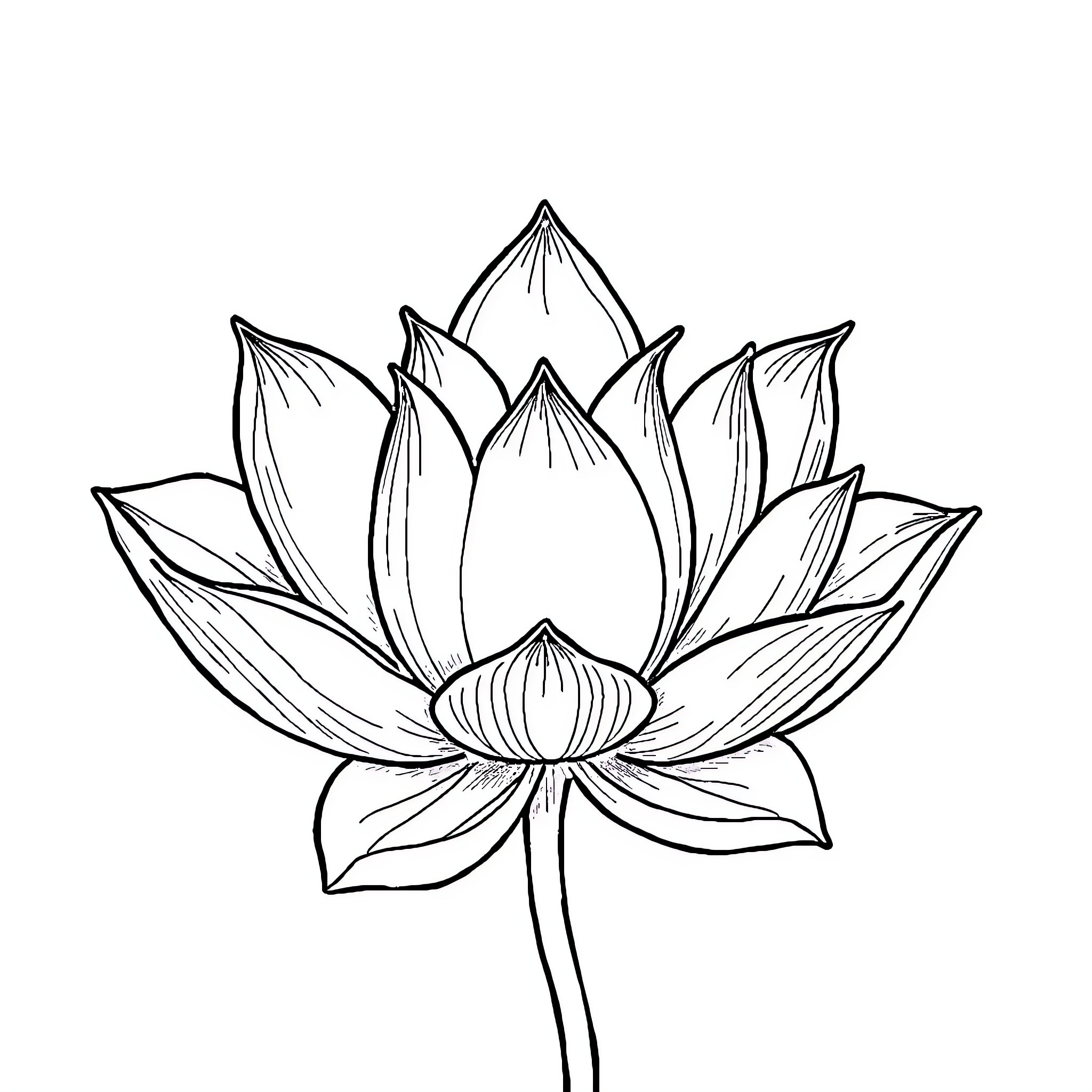 Lotus flower line art illustration Coloring Page (free black-and-white line drawing printable PDF for all, from beginners to advanced learners, including children, teens, adults, and seniors)