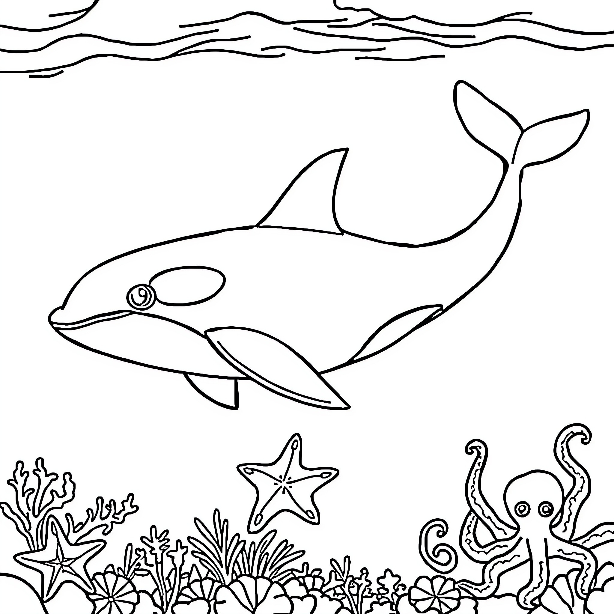 Killer Whale swimming in the ocean Coloring Page (free black-and-white line drawing printable PDF for all, from beginners to advanced learners, including children, teens, adults, and seniors)
