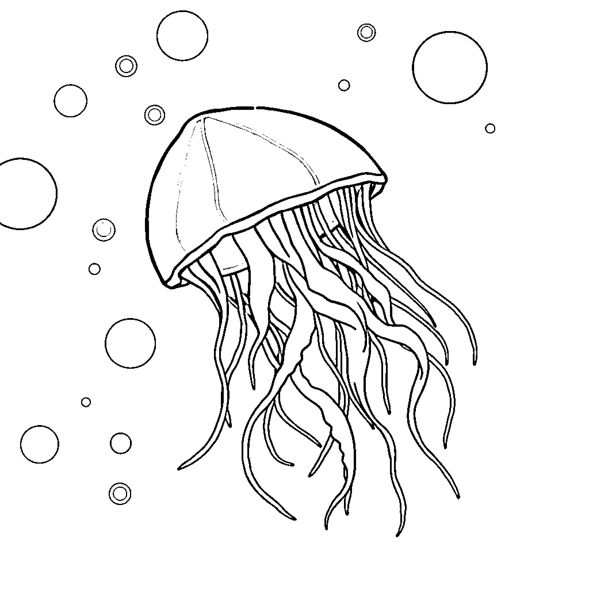 Jellyfish swimming gracefully among bubbles Coloring Page (free black-and-white line drawing printable PDF for all, from beginners to advanced learners, including children, teens, adults, and seniors)