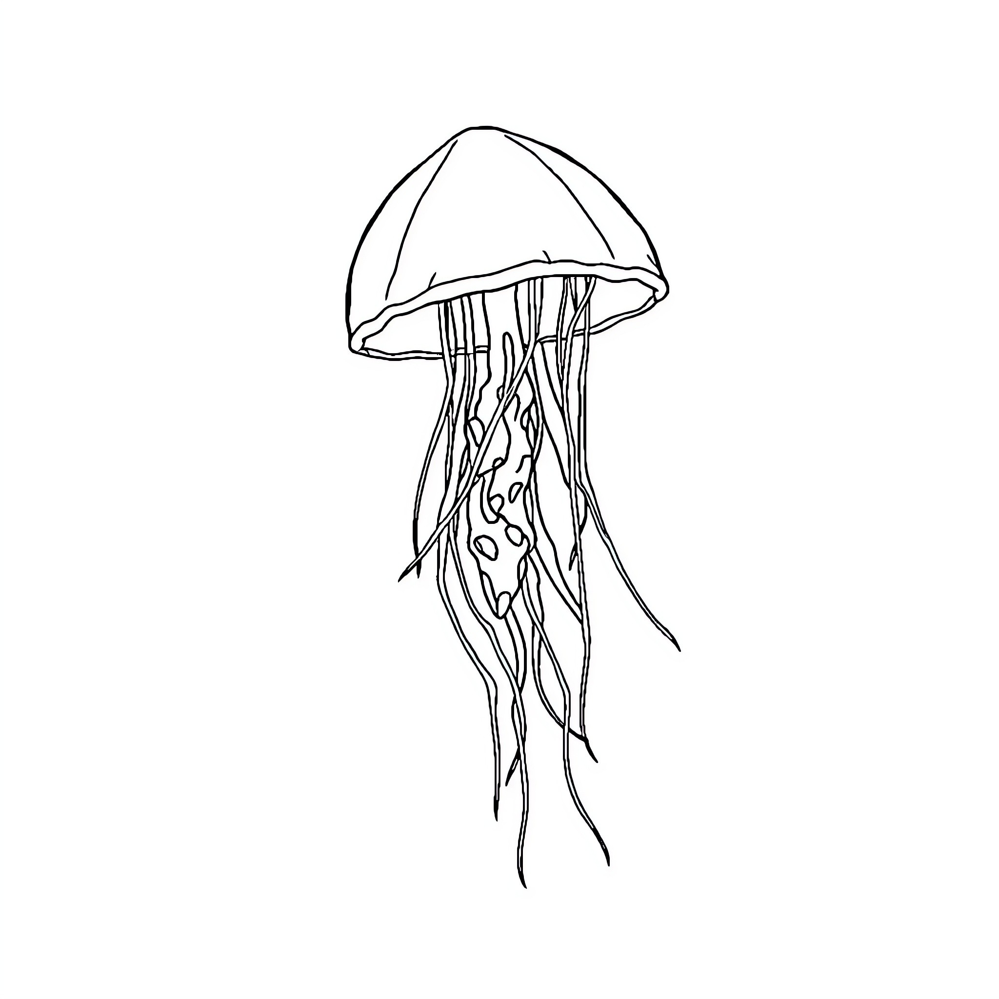 Jellyfish drifting gracefully through the sea Coloring Page (free black-and-white line drawing printable PDF for all, from beginners to advanced learners, including children, teens, adults, and seniors)