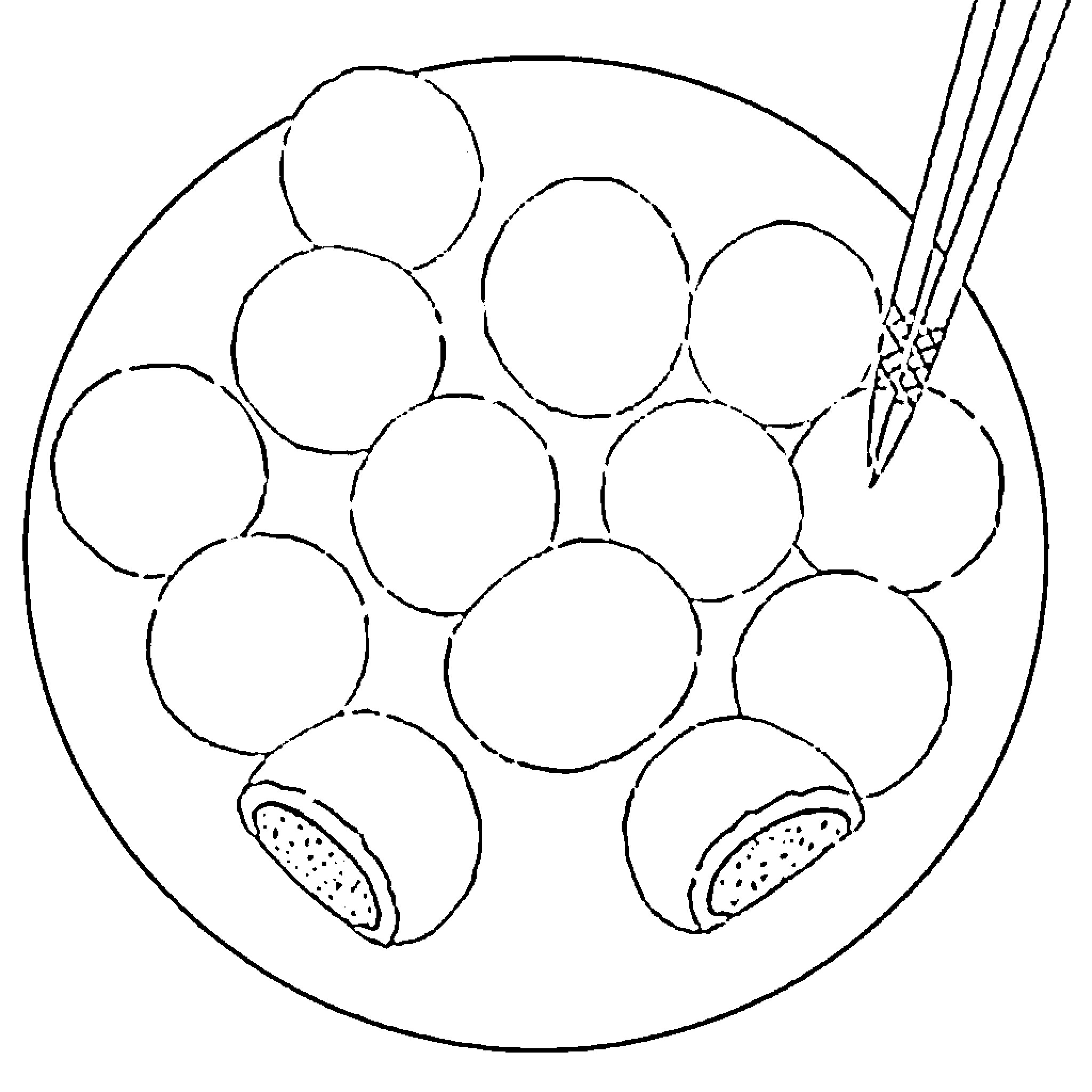 Mochi Making Process with Utensils Coloring Page (free black-and-white line drawing printable PDF for all, from beginners to advanced learners, including children, teens, adults, and seniors)