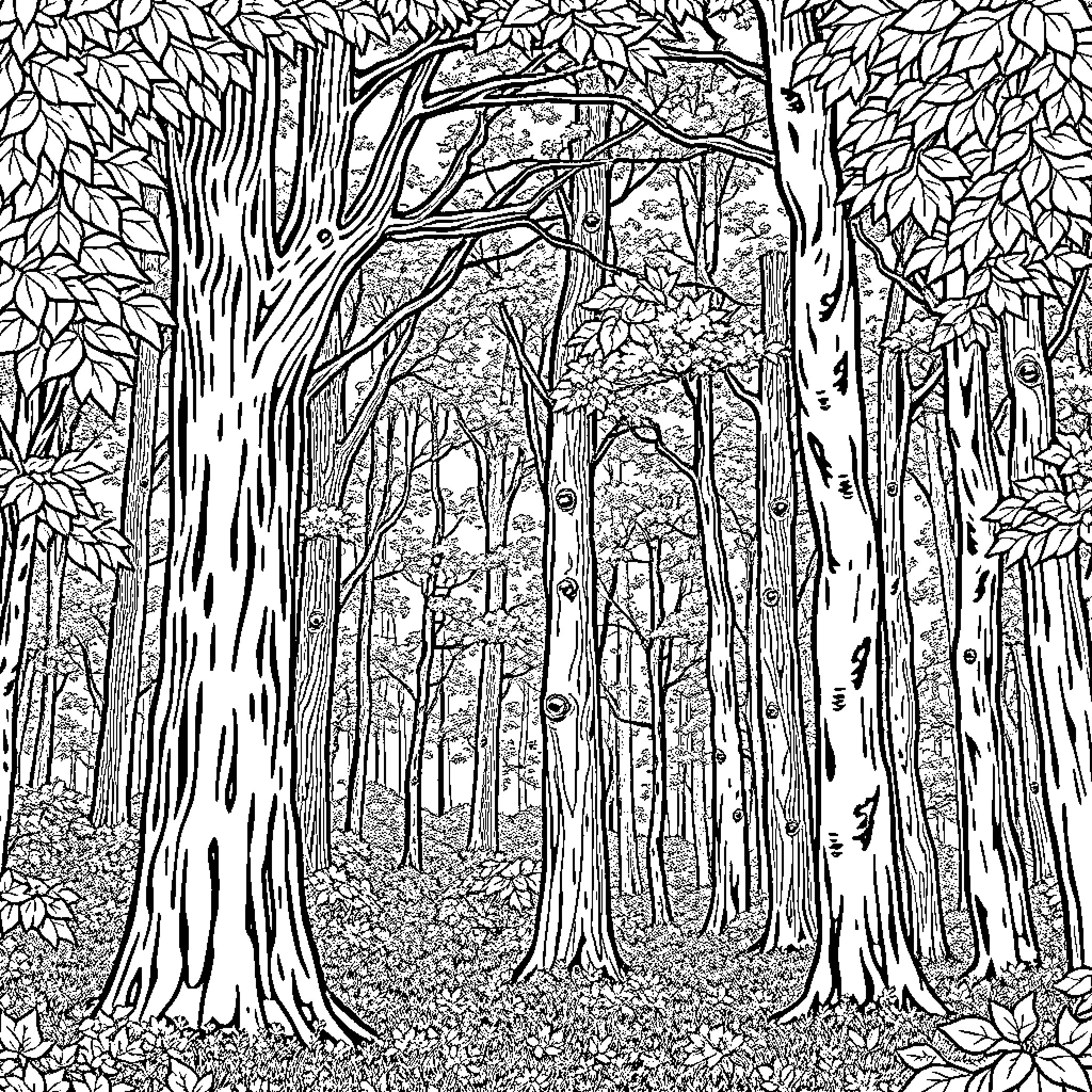 Forest of Towering Trees and Lush Foliage Coloring Page (free black-and-white line drawing printable PDF for all, from beginners to advanced learners, including children, teens, adults, and seniors)