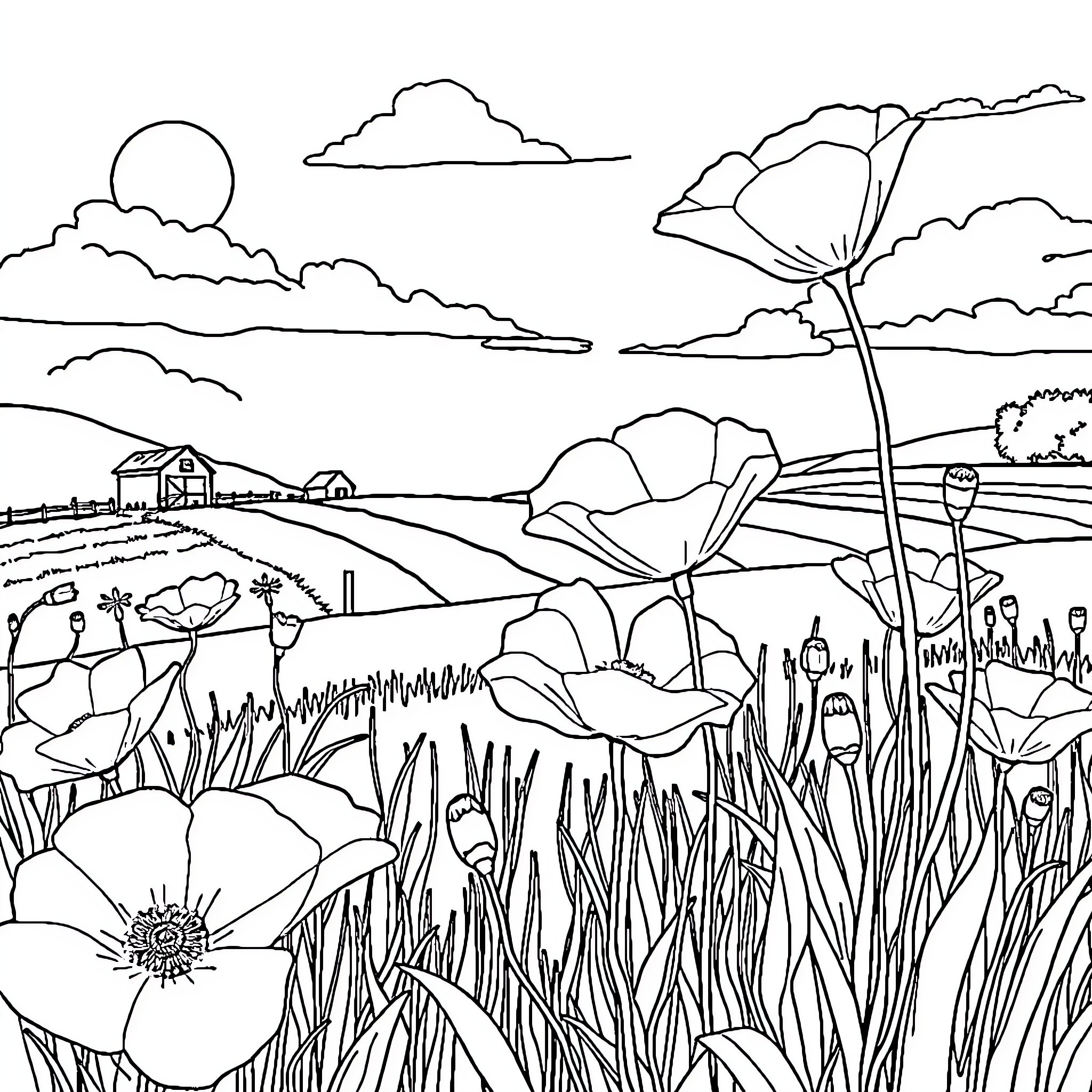 Poppy Flowers Blooming in Lush Countryside Landscape Coloring Page (free black-and-white line drawing printable PDF for all, from beginners to advanced learners, including children, teens, adults, and seniors)