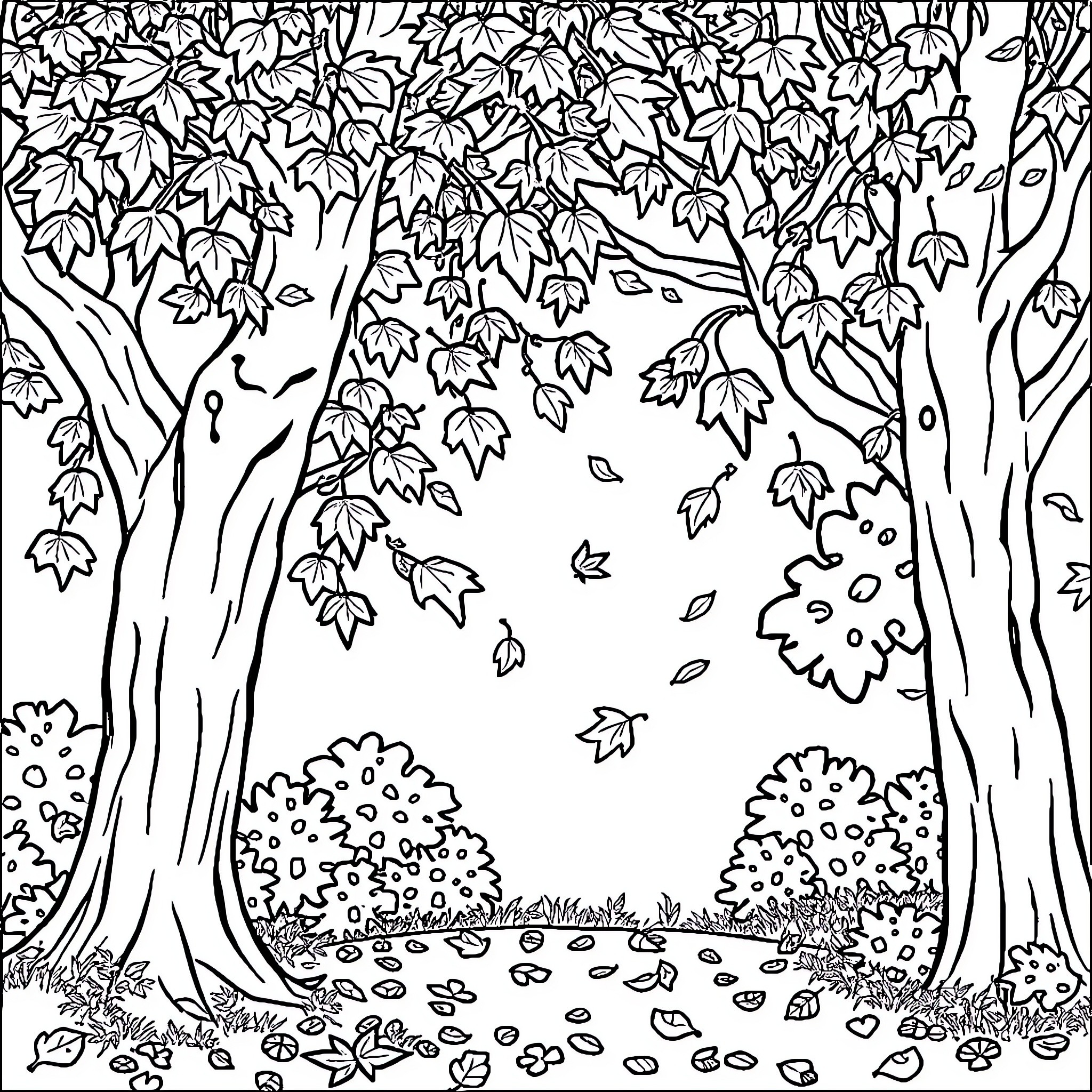 Fall leaves and trees in a woodland scene Coloring Page (free black-and-white line drawing printable PDF for all, from beginners to advanced learners, including children, teens, adults, and seniors)