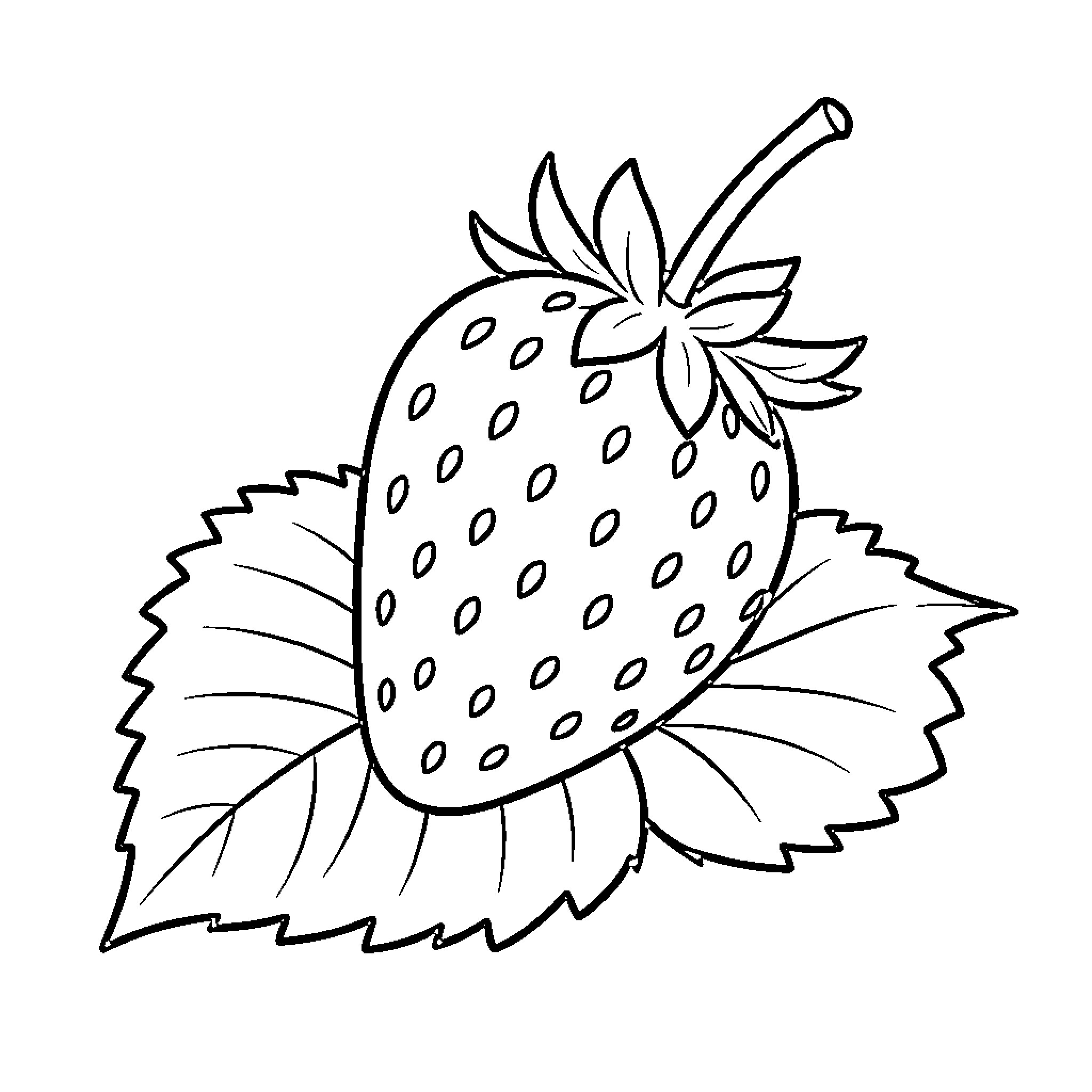 Strawberry plant with detailed leaves Coloring Page (free black-and-white line drawing printable PDF for all, from beginners to advanced learners, including children, teens, adults, and seniors)