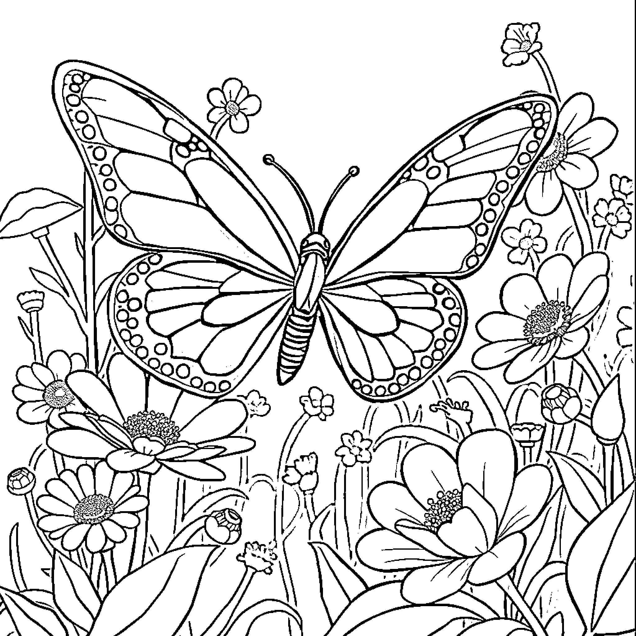 Butterfly flying amidst floral garden Coloring Page (free black-and-white line drawing printable PDF for all, from beginners to advanced learners, including children, teens, adults, and seniors)