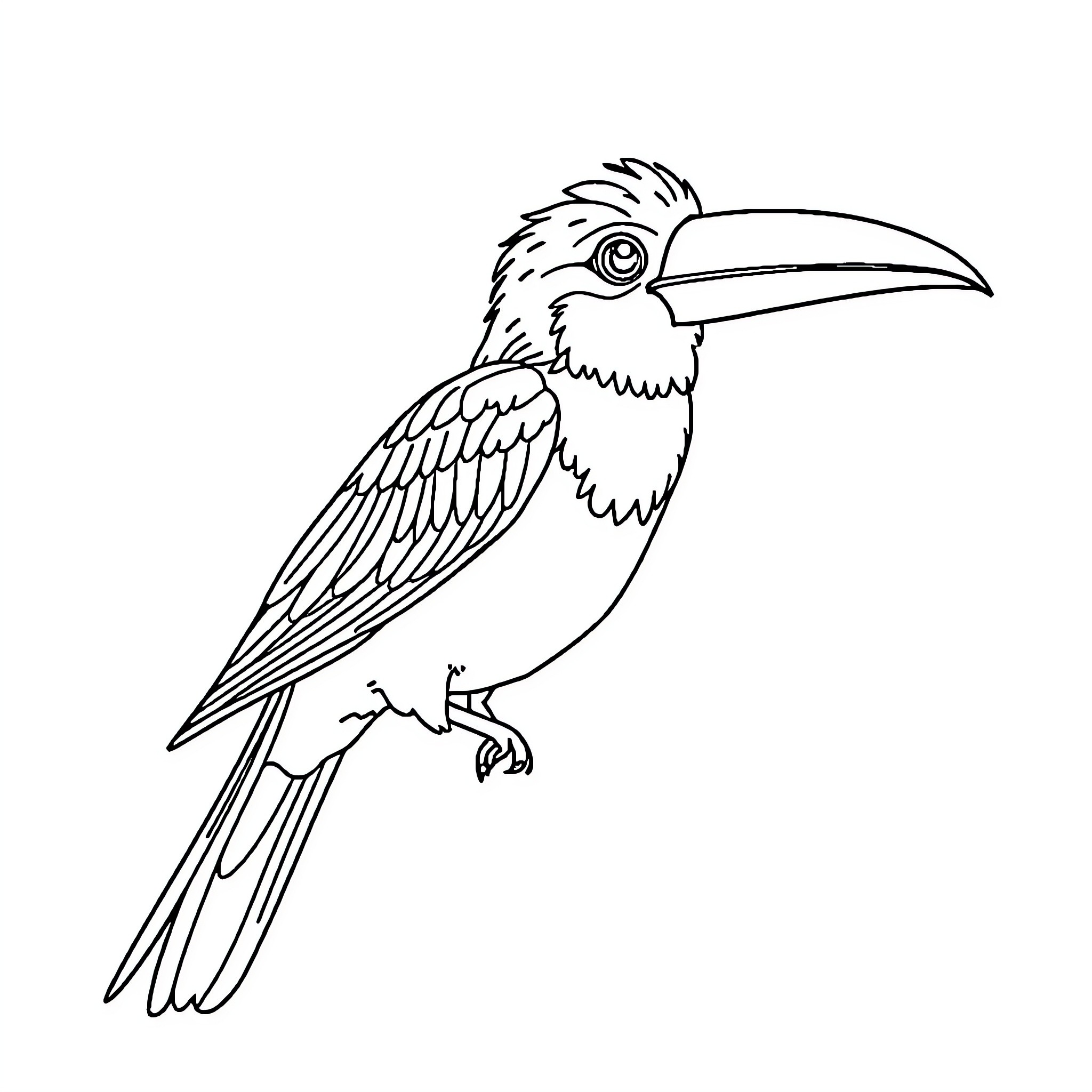 Nymph bird perching with outstretched wings Coloring Page (free black-and-white line drawing printable PDF for all, from beginners to advanced learners, including children, teens, adults, and seniors)