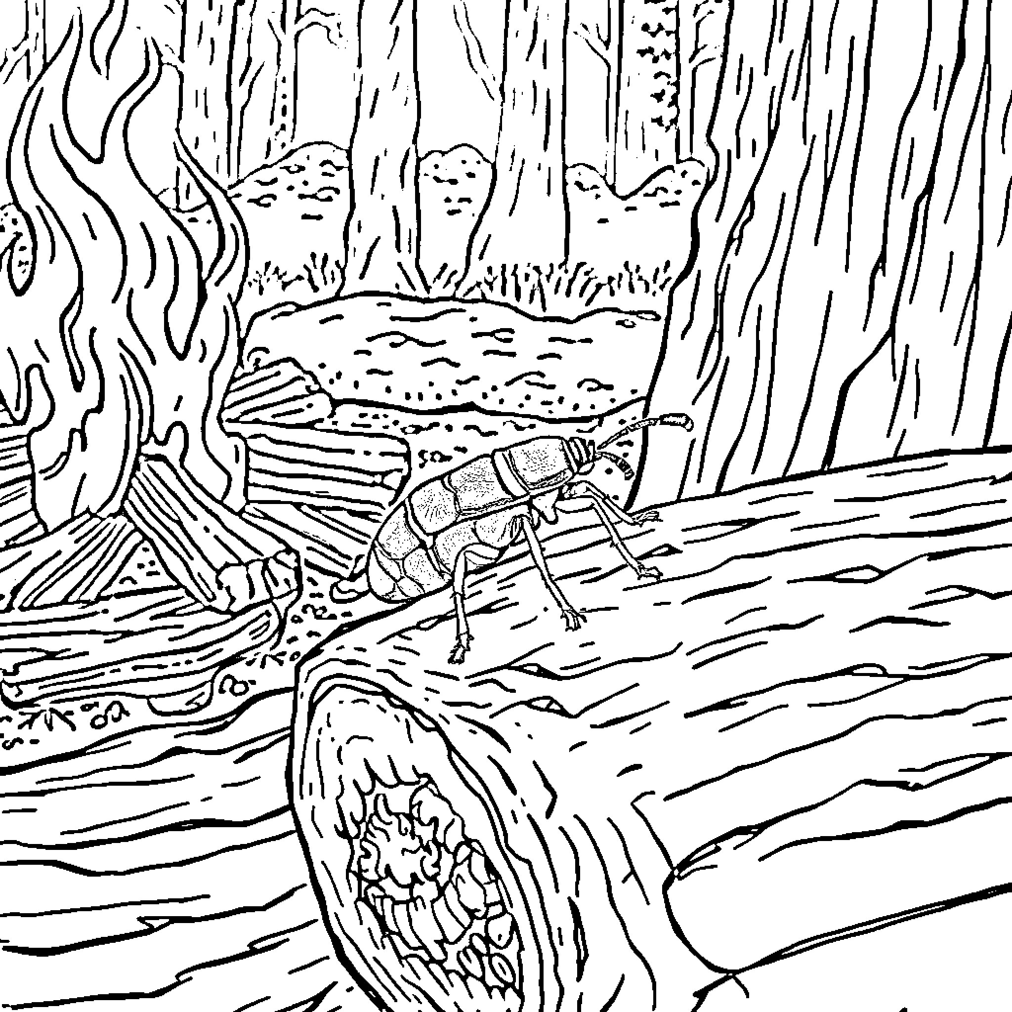 Emerald Ash Borer exploring forest scenery Coloring Page (free black-and-white line drawing printable PDF for all, from beginners to advanced learners, including children, teens, adults, and seniors)