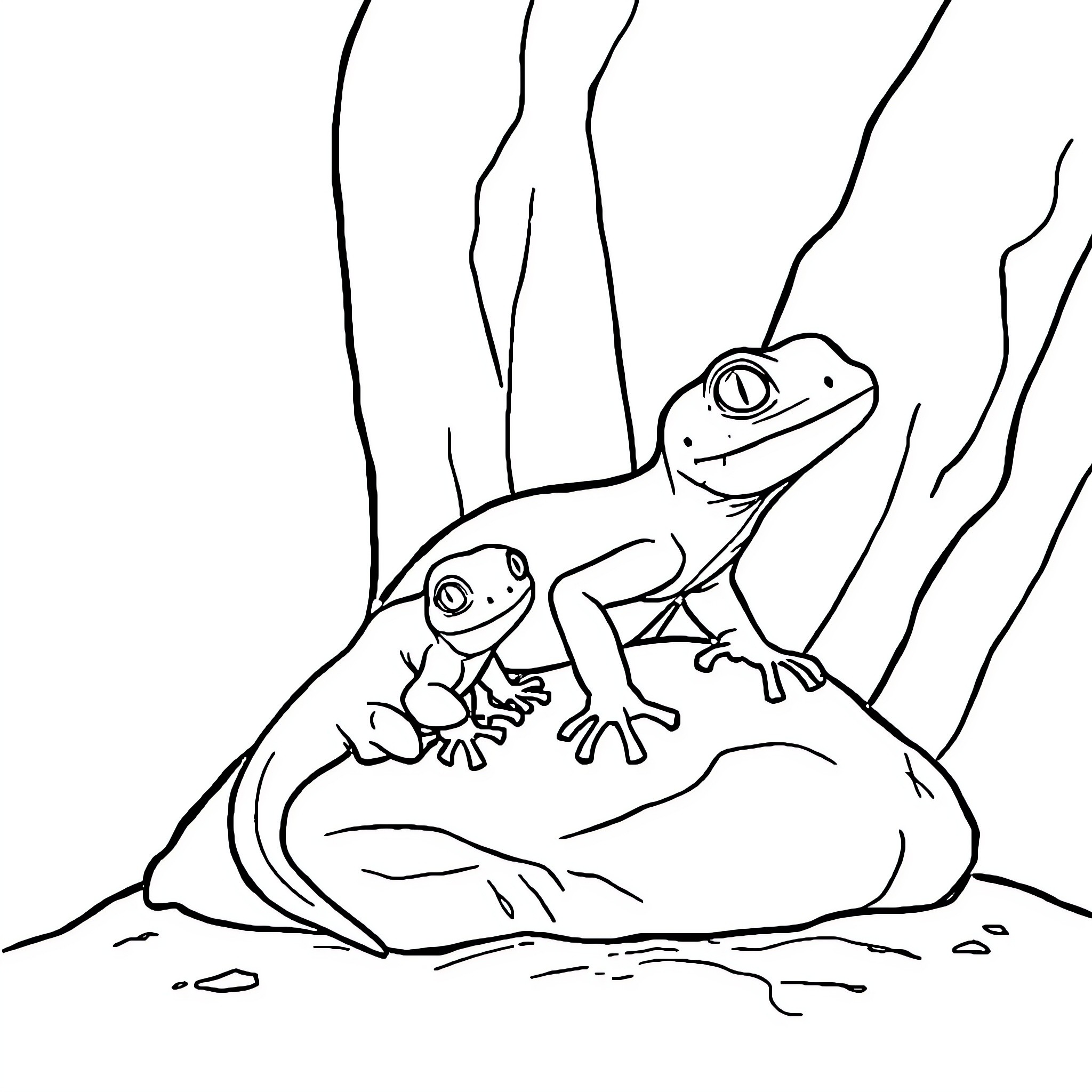 Gecko siblings exploring nature together Coloring Page (free black-and-white line drawing printable PDF for all, from beginners to advanced learners, including children, teens, adults, and seniors)
