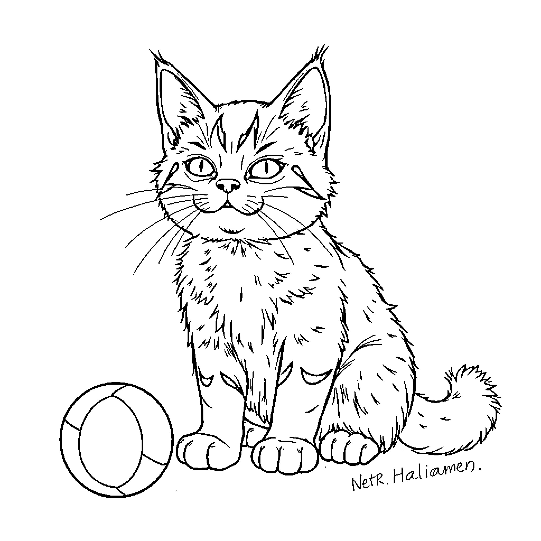 Cat drawing playing with ball of yarn Coloring Page (free black-and-white line drawing printable PDF for all, from beginners to advanced learners, including children, teens, adults, and seniors)