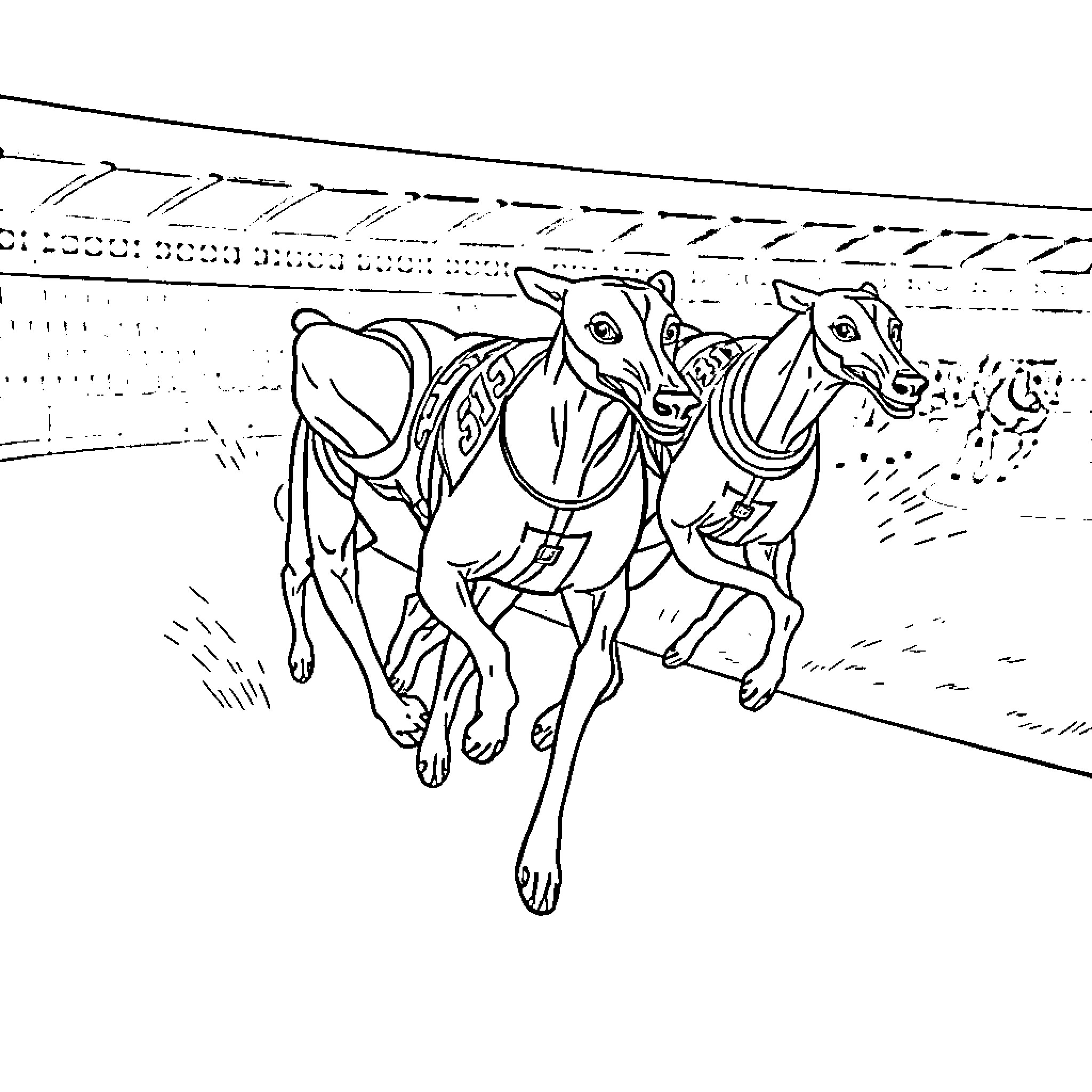 Greyhound racing track with running greyhounds Coloring Page (free black-and-white line drawing printable PDF for all, from beginners to advanced learners, including children, teens, adults, and seniors)
