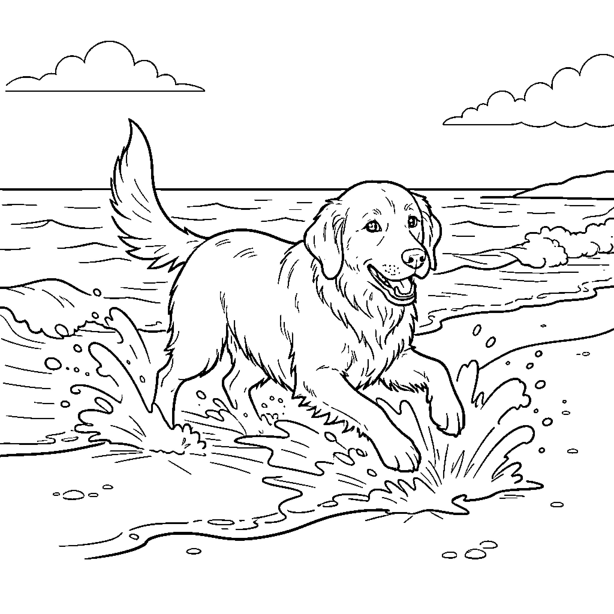 Golden Retriever running through ocean waves on a beach Coloring Page (free black-and-white line drawing printable PDF for all, from beginners to advanced learners, including children, teens, adults, and seniors)