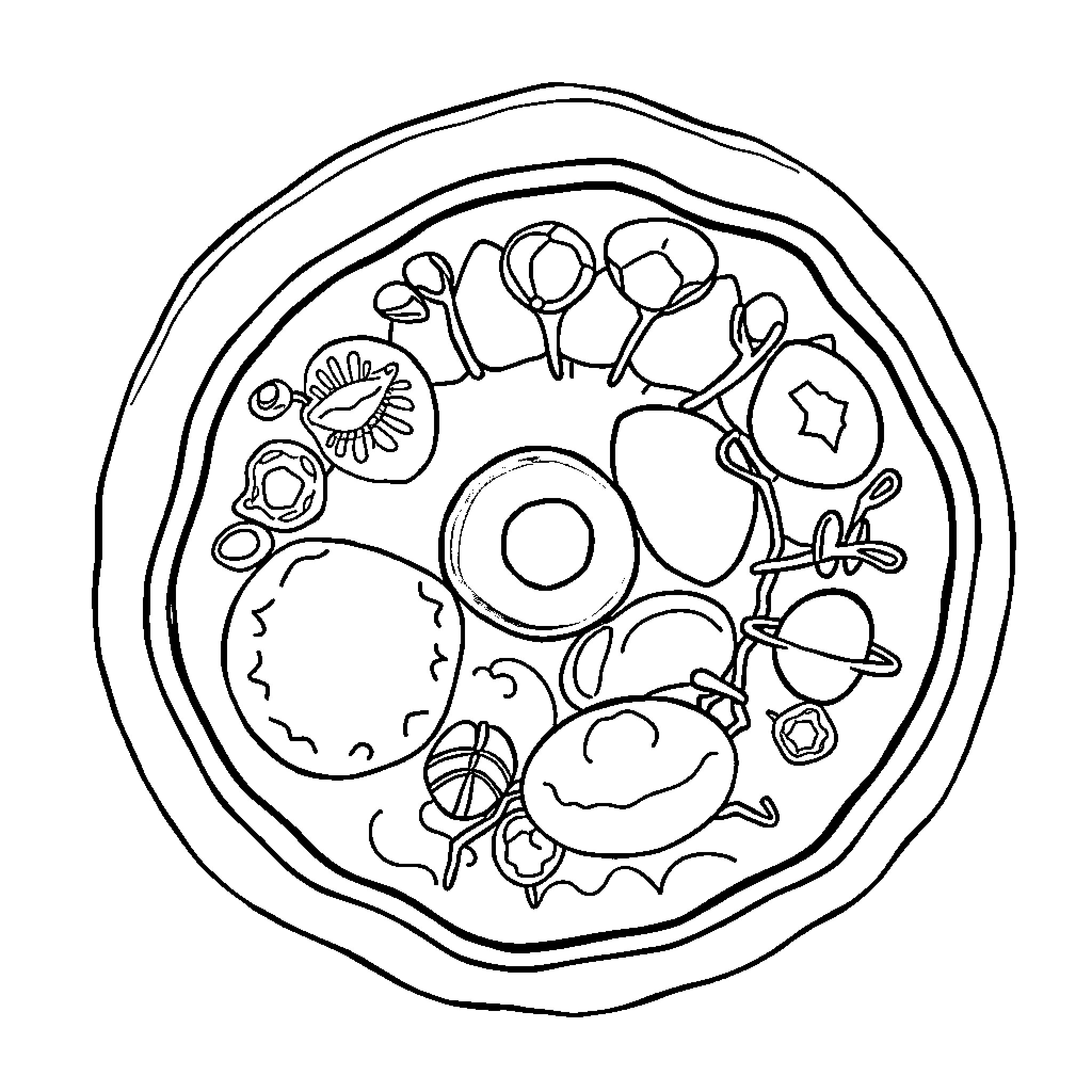 Animal Cell with Various Organelles Coloring Page (free black-and-white line drawing printable PDF for all, from beginners to advanced learners, including children, teens, adults, and seniors)