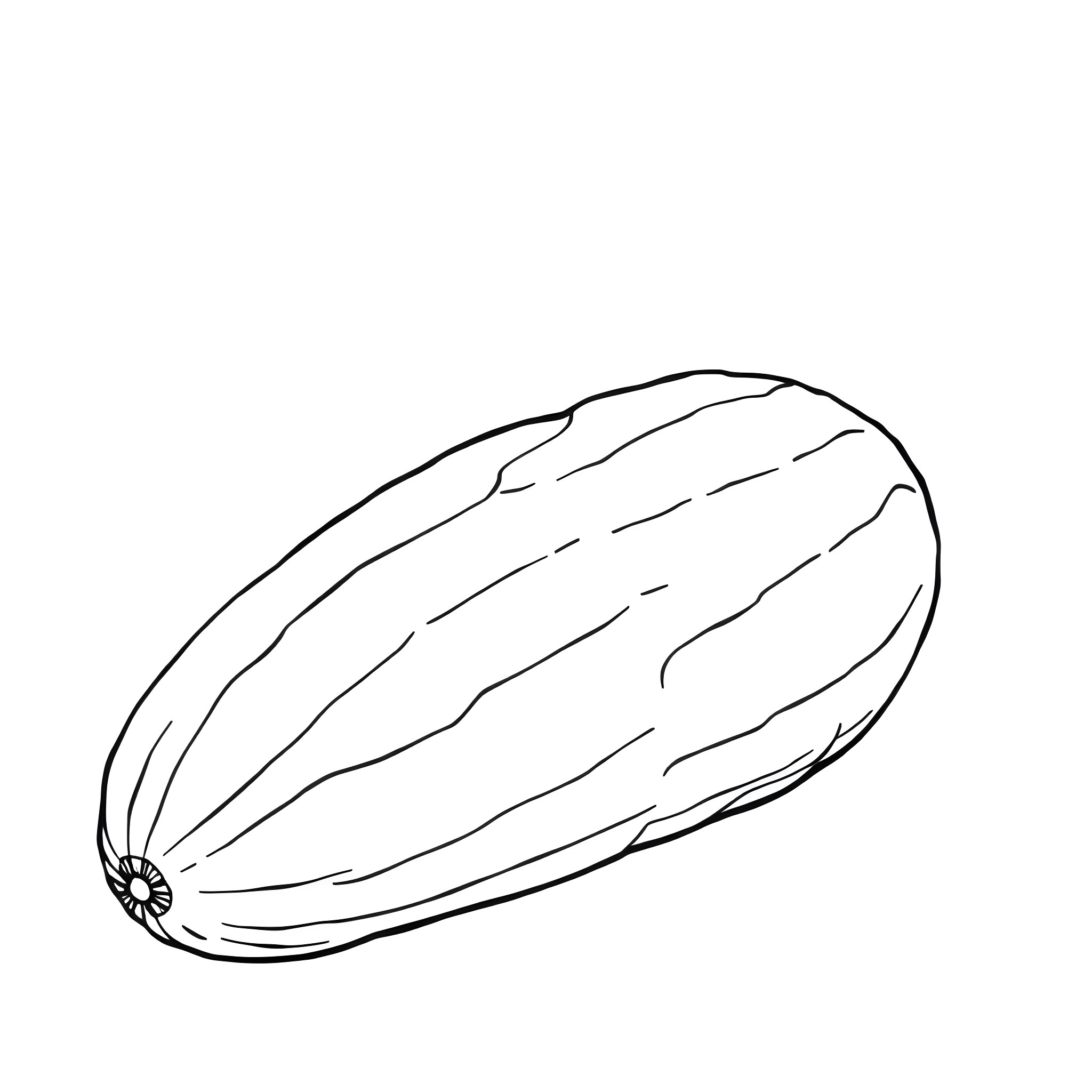 Cucumber with distinctive ribbed pattern Coloring Page (free black-and-white line drawing printable PDF for all, from beginners to advanced learners, including children, teens, adults, and seniors)