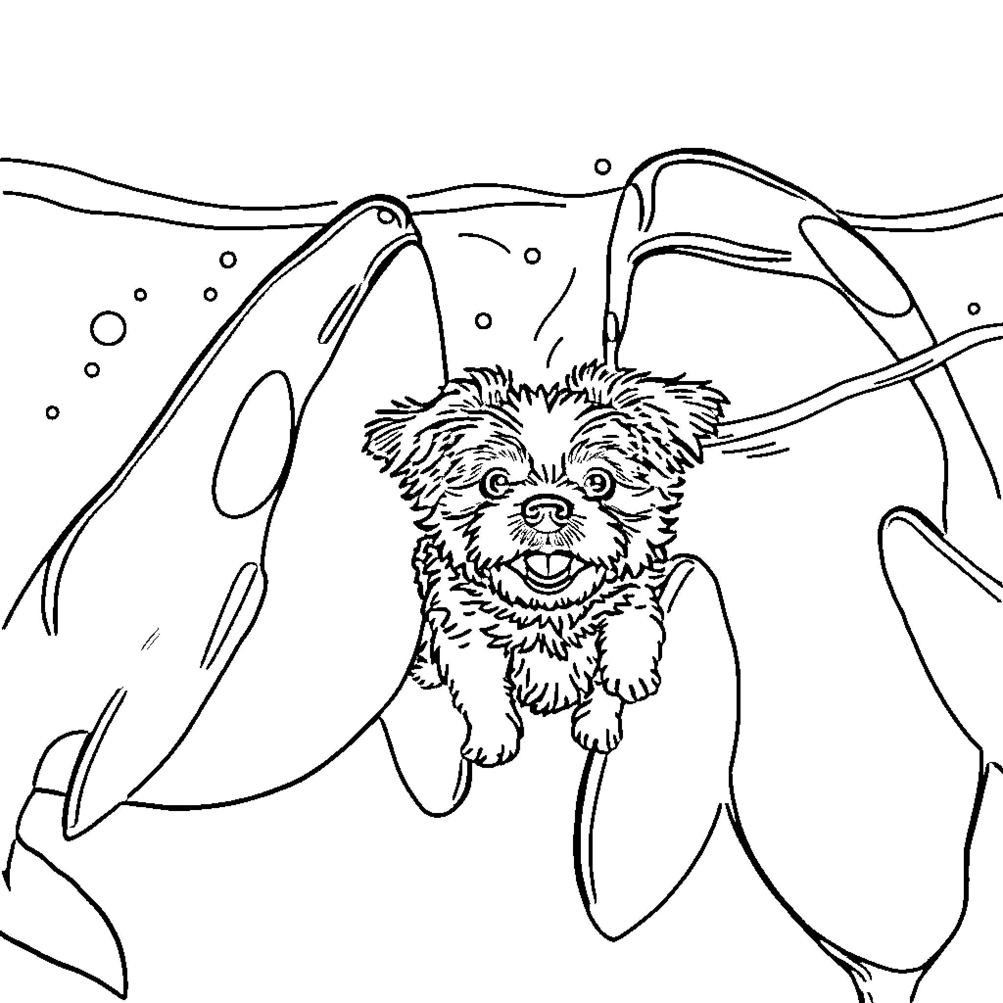 Shih Tzu swimming with playful expression Coloring Page (free black-and-white line drawing printable PDF for all, from beginners to advanced learners, including children, teens, adults, and seniors)