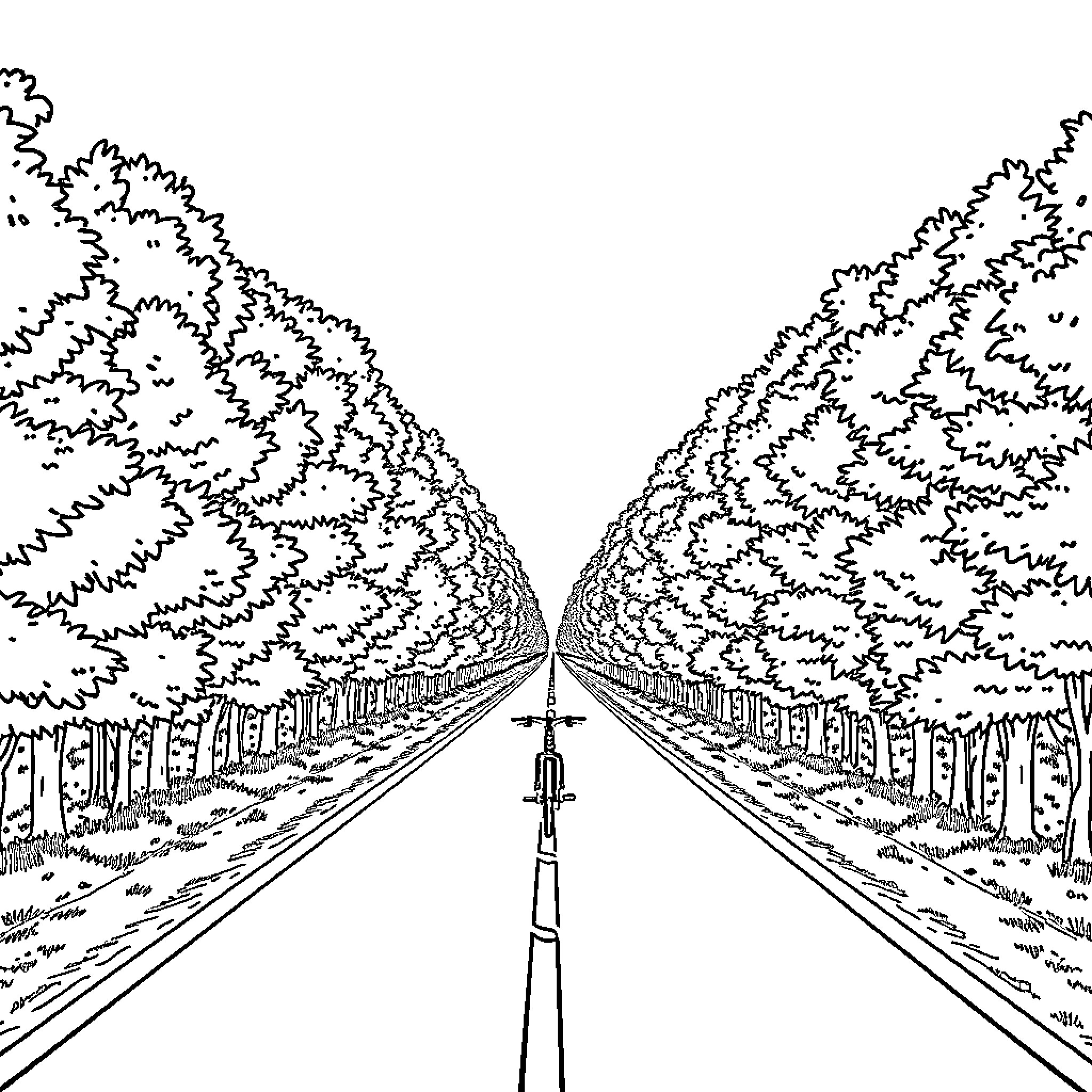 Bicycle riding on a forested path Coloring Page (free black-and-white line drawing printable PDF for all, from beginners to advanced learners, including children, teens, adults, and seniors)