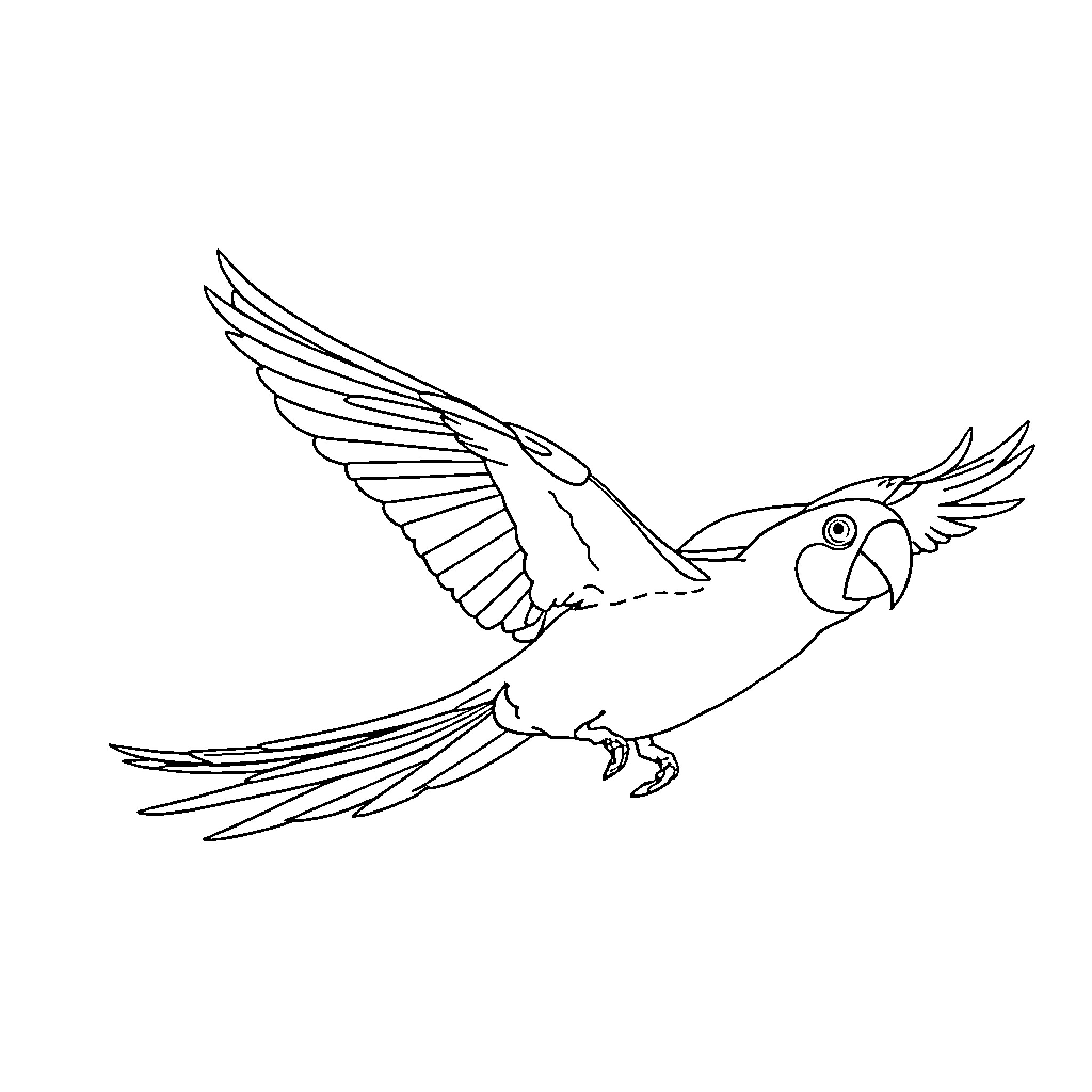 Parrot in flight with outstretched wings Coloring Page (free black-and-white line drawing printable PDF for all, from beginners to advanced learners, including children, teens, adults, and seniors)