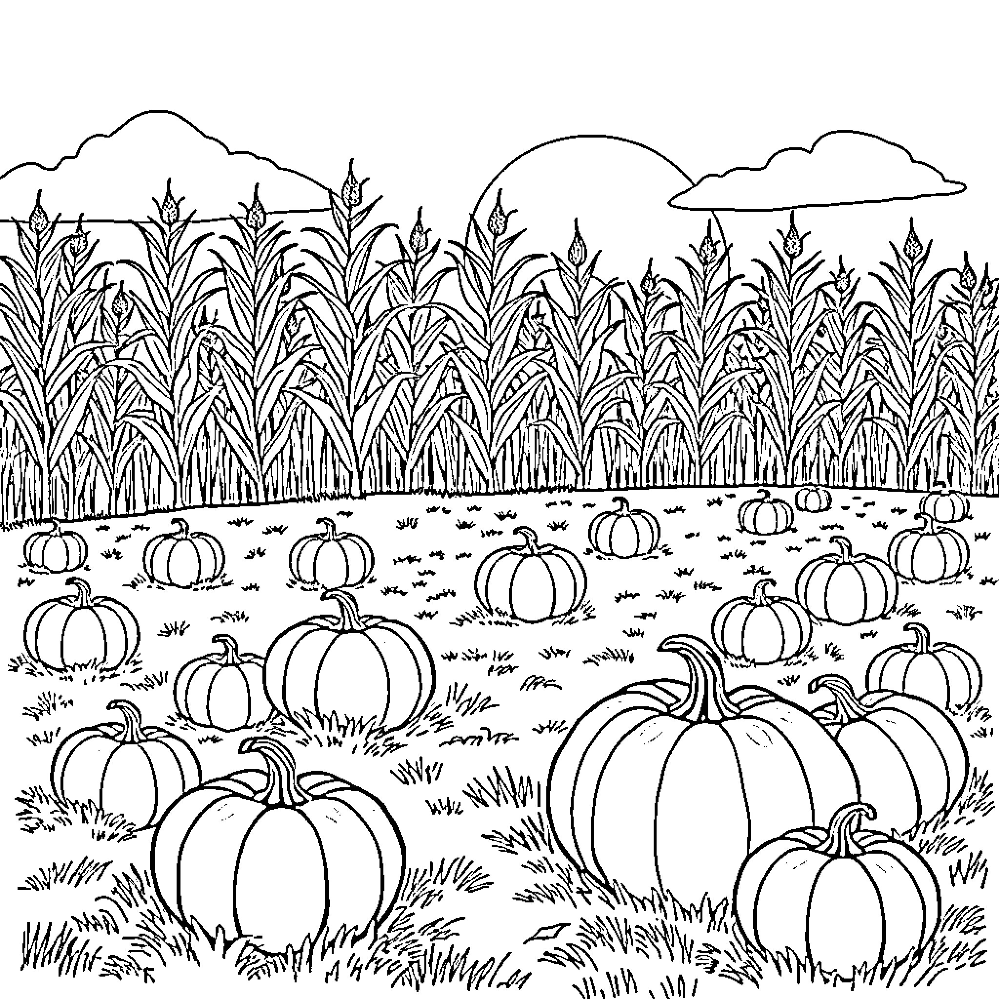 Pumpkins Growing in an Autumn Landscape Coloring Page (free black-and-white line drawing printable PDF for all, from beginners to advanced learners, including children, teens, adults, and seniors)