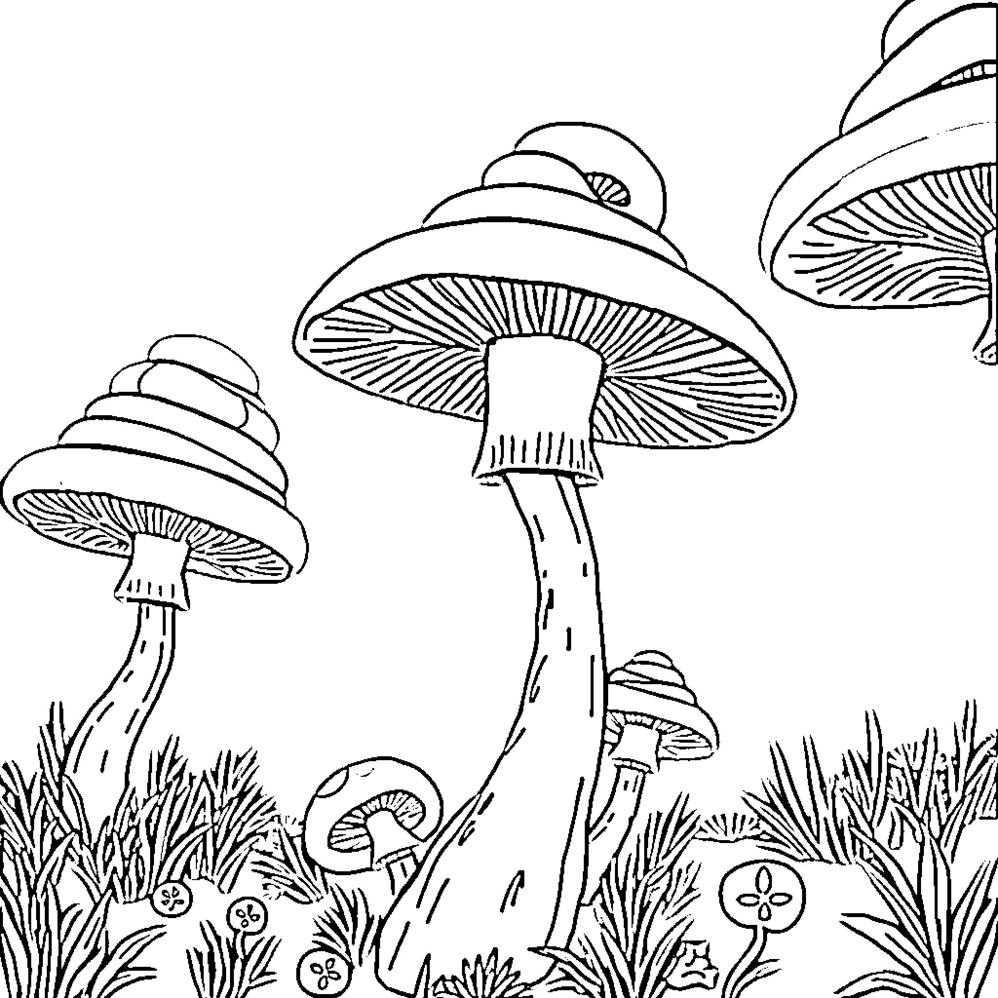 Mushroom Wonderland: Whimsical Mushroom Shapes and Scenes Coloring Page (free black-and-white line drawing printable PDF for all, from beginners to advanced learners, including children, teens, adults, and seniors)