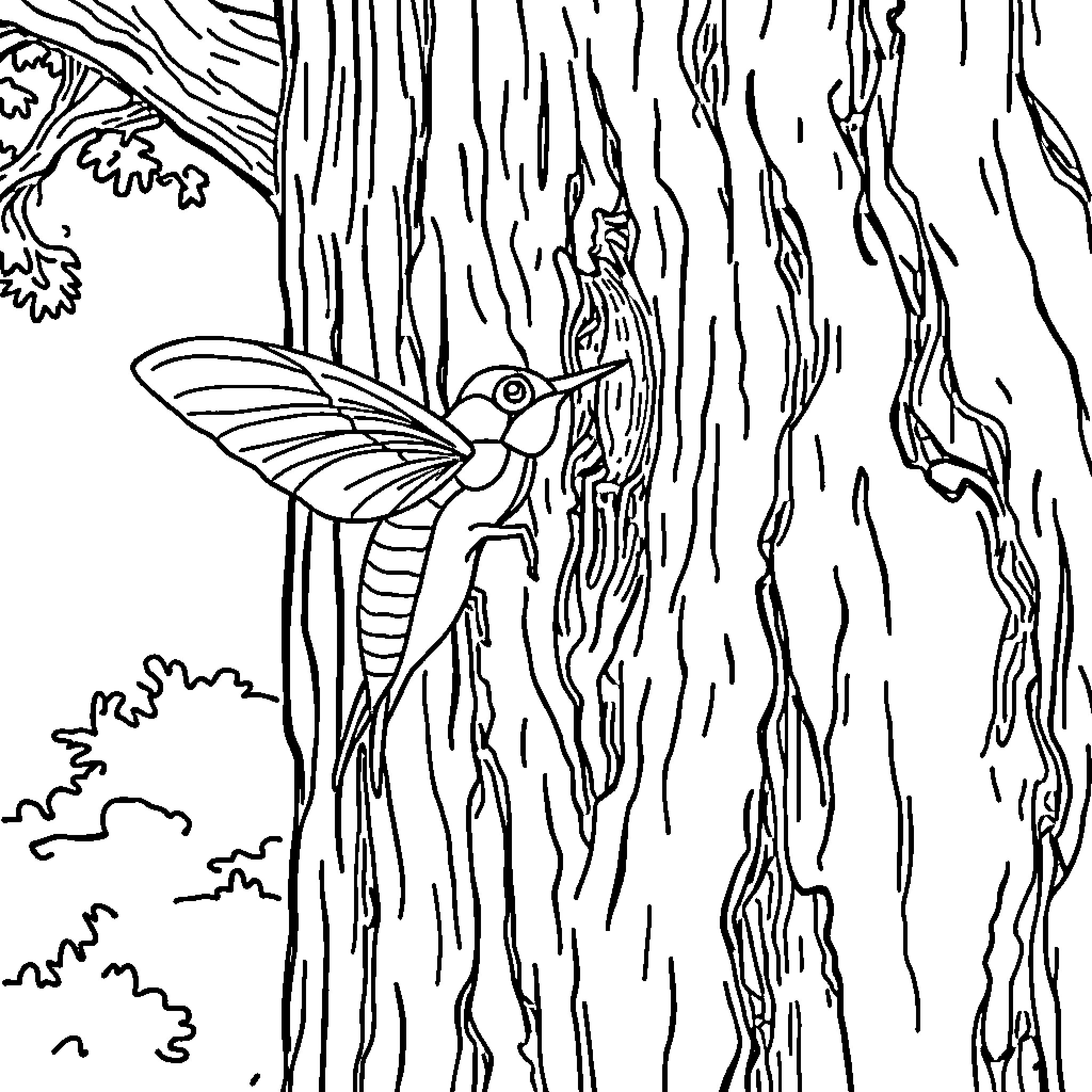 Drill hummingbird exploring nature's patterns Coloring Page (free black-and-white line drawing printable PDF for all, from beginners to advanced learners, including children, teens, adults, and seniors)