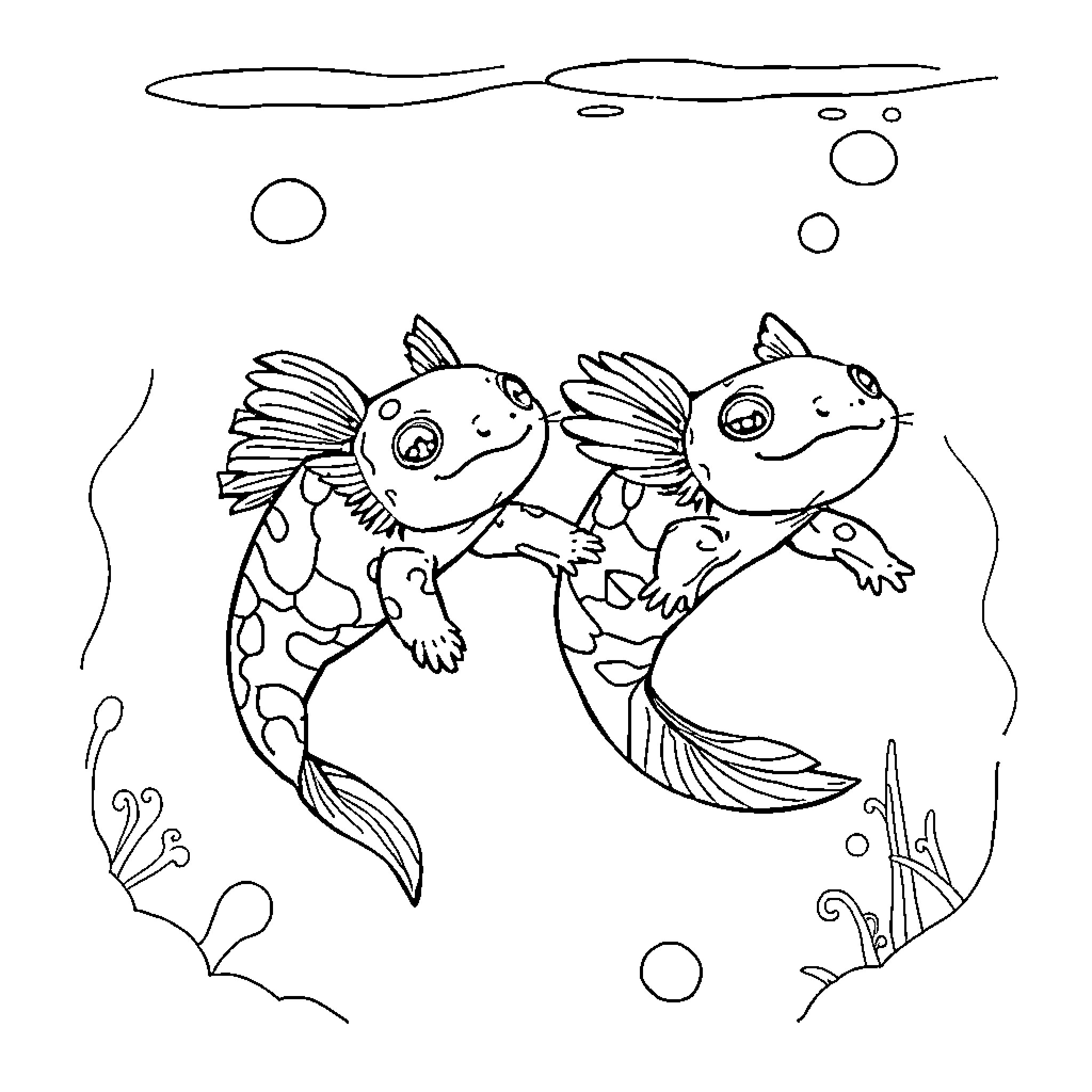 Axolotls playing together in the water Coloring Page (free black-and-white line drawing printable PDF for all, from beginners to advanced learners, including children, teens, adults, and seniors)