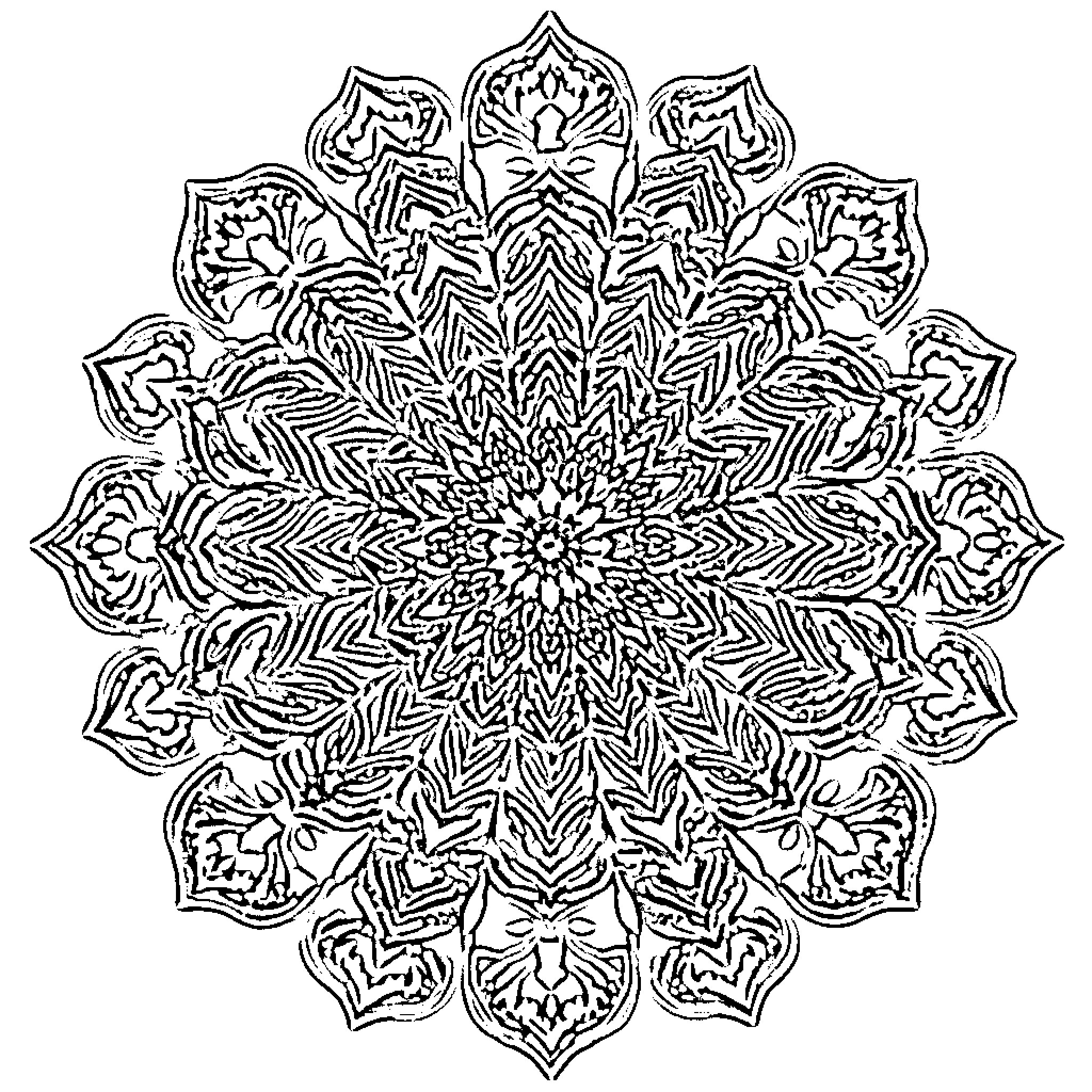 Mandala of intricate floral patterns Coloring Page (free black-and-white line drawing printable PDF for all, from beginners to advanced learners, including children, teens, adults, and seniors)