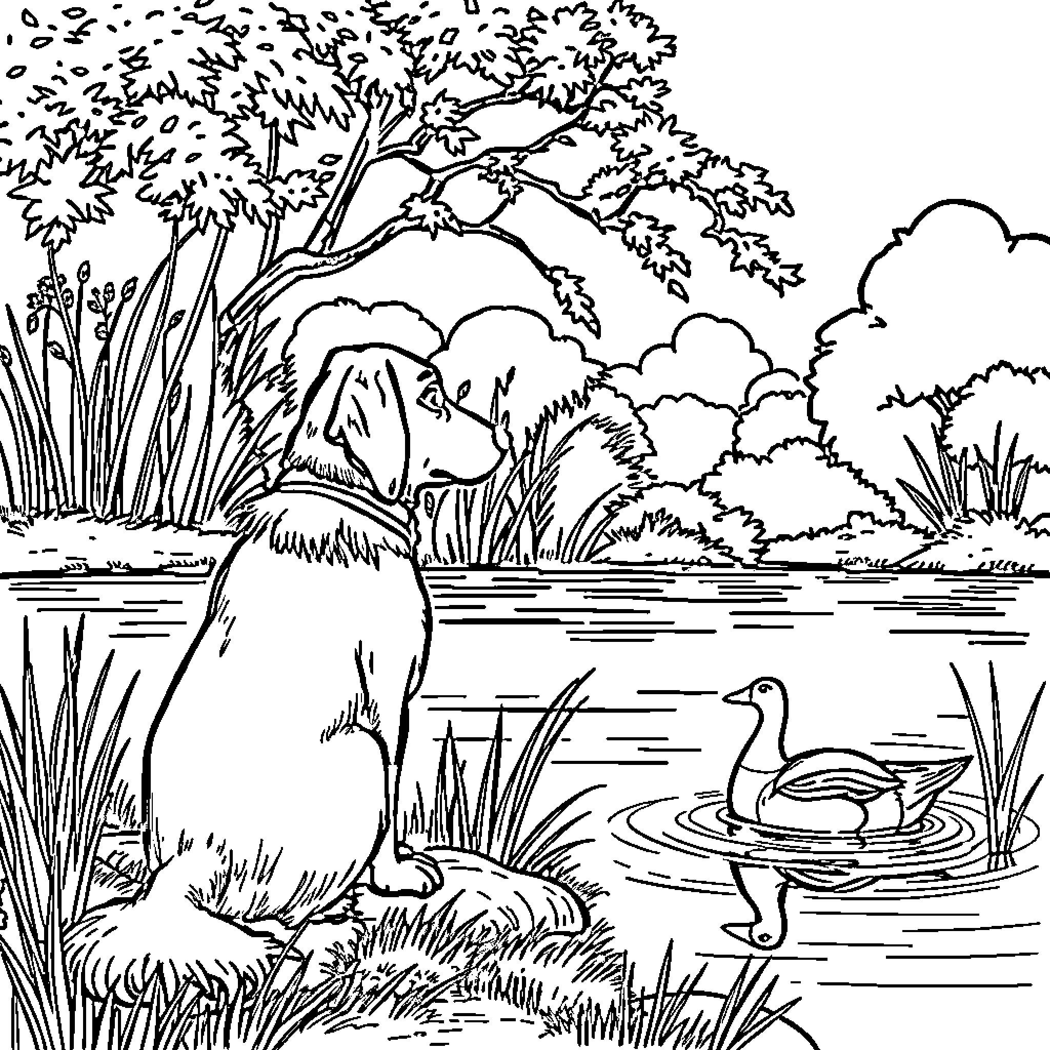 Duck wading in the pond with a dog Coloring Page (free black-and-white line drawing printable PDF for all, from beginners to advanced learners, including children, teens, adults, and seniors)