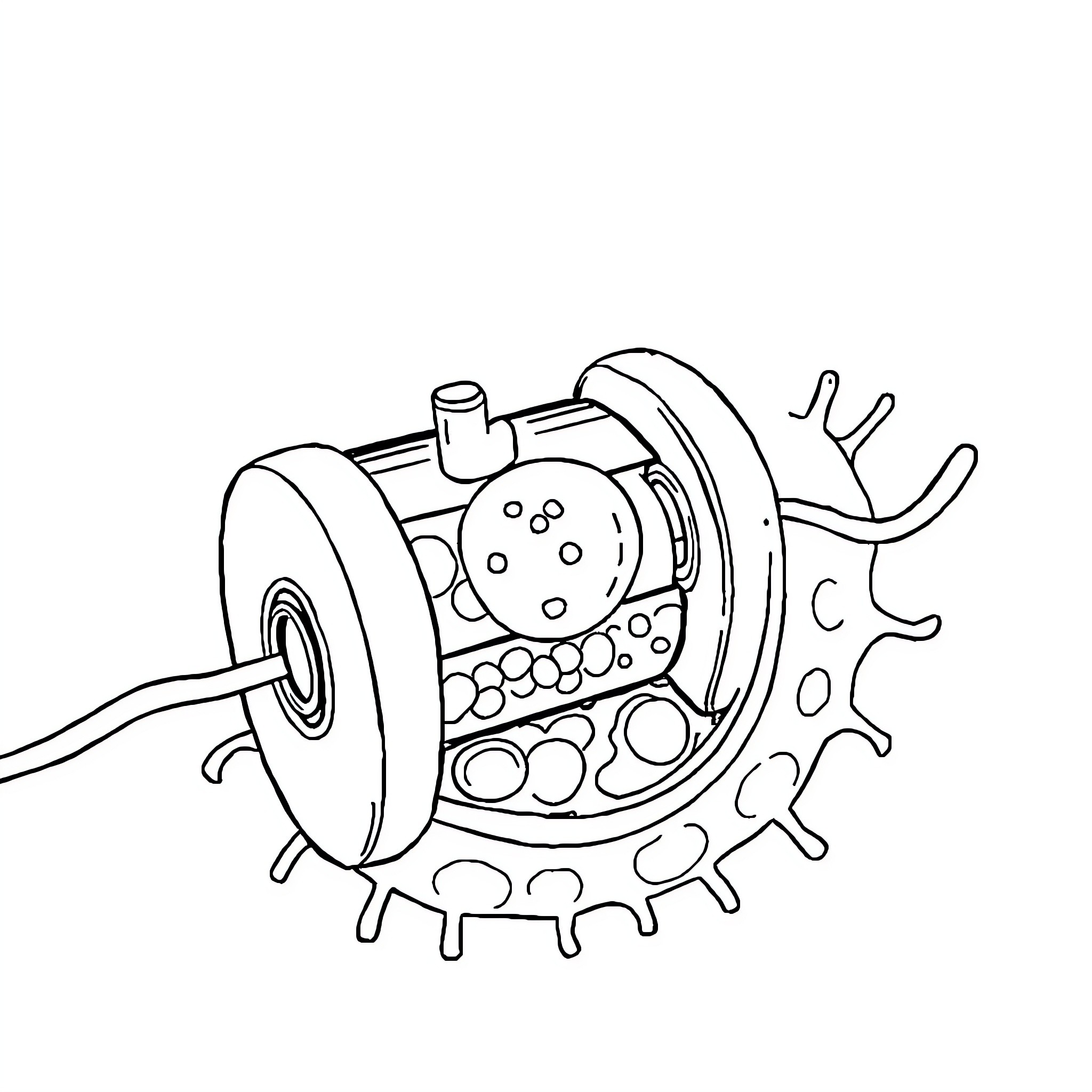 Sodium-Potassium Pump: Biological Illustration Coloring Page (free black-and-white line drawing printable PDF for all, from beginners to advanced learners, including children, teens, adults, and seniors)