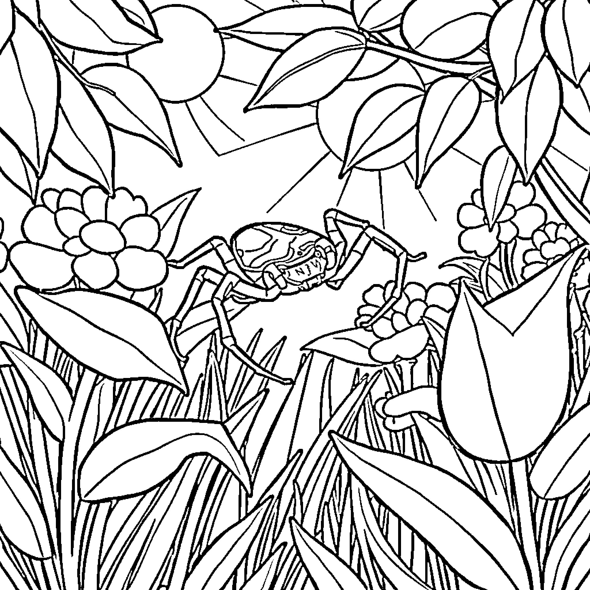 Spider creeping among vibrant plants Coloring Page (free black-and-white line drawing printable PDF for all, from beginners to advanced learners, including children, teens, adults, and seniors)