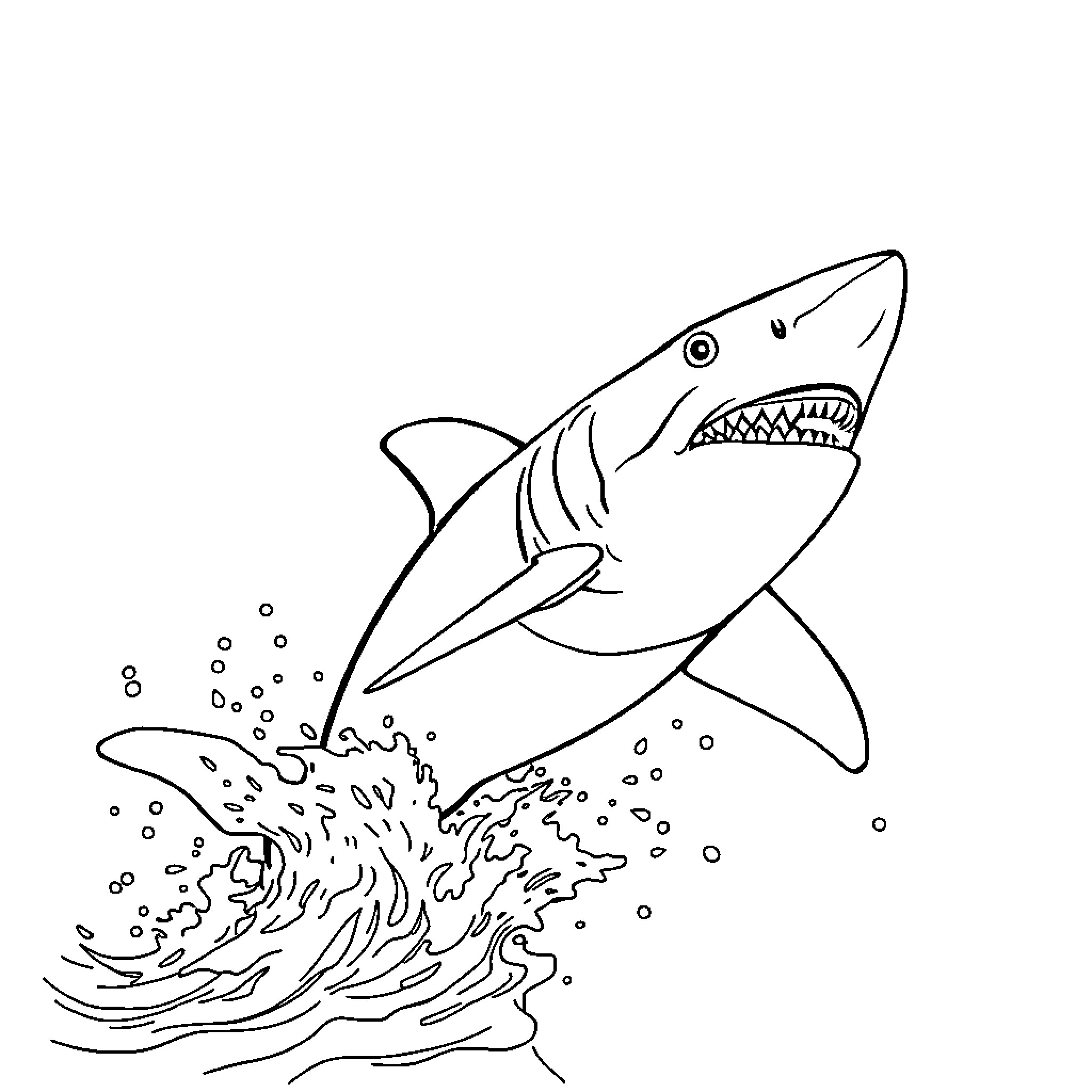Shark leaping out of the waves Coloring Page (free black-and-white line drawing printable PDF for all, from beginners to advanced learners, including children, teens, adults, and seniors)