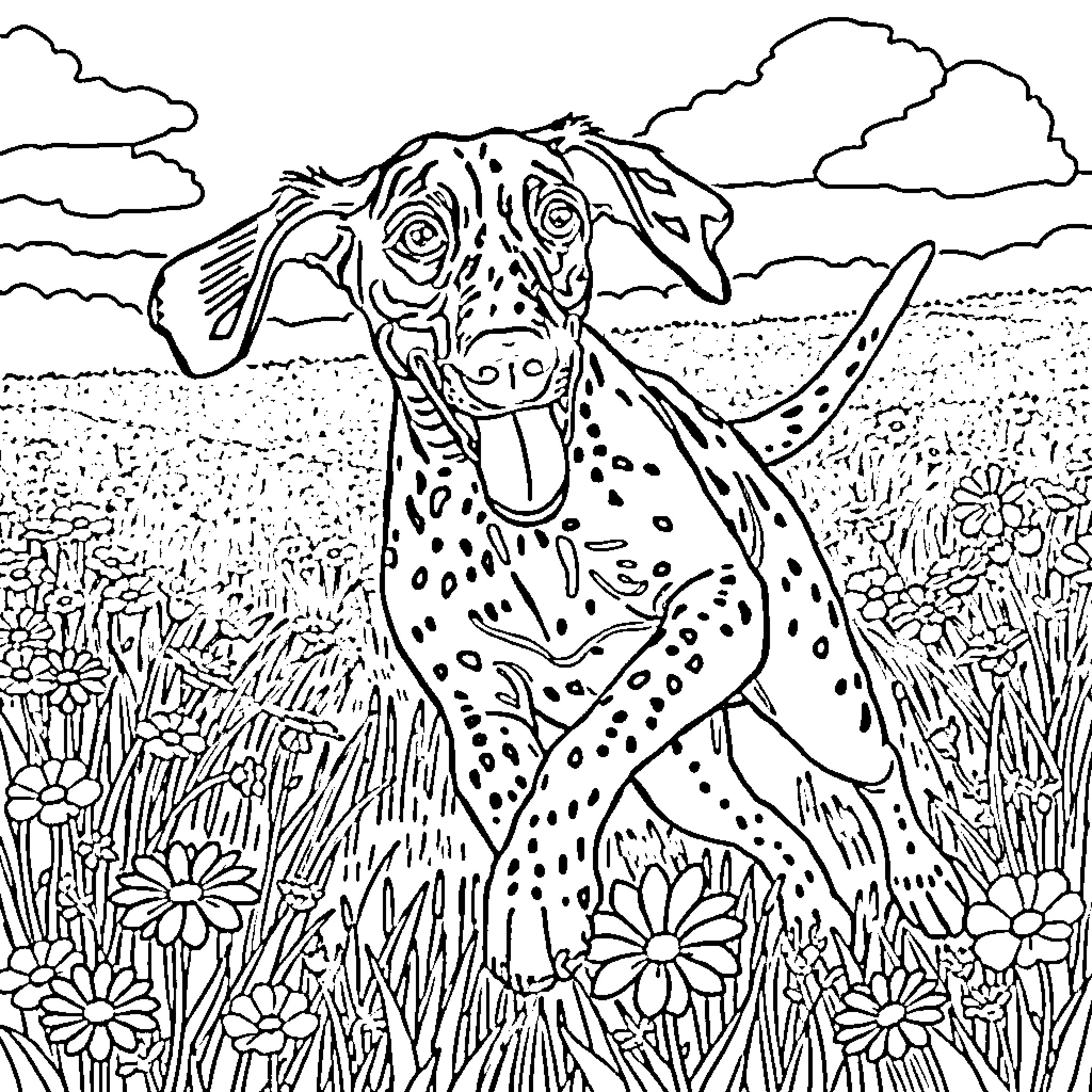 German Shorthair Pointer playing in a flower field Coloring Page (free black-and-white line drawing printable PDF for all, from beginners to advanced learners, including children, teens, adults, and seniors)
