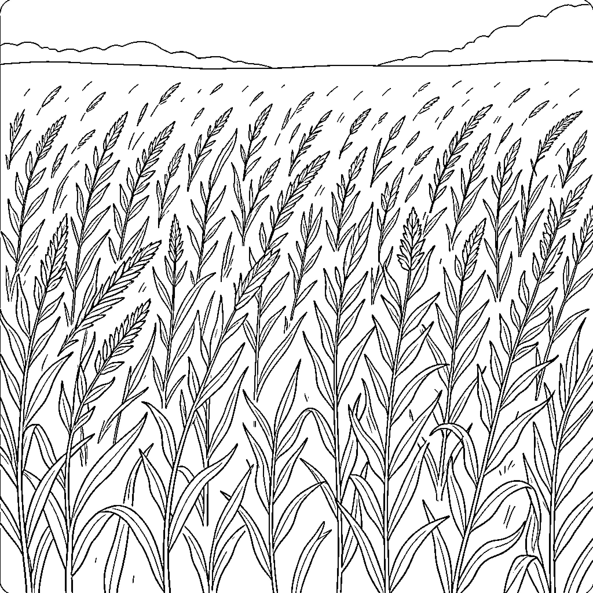 Weed growing in the field Coloring Page (free black-and-white line drawing printable PDF for all, from beginners to advanced learners, including children, teens, adults, and seniors)