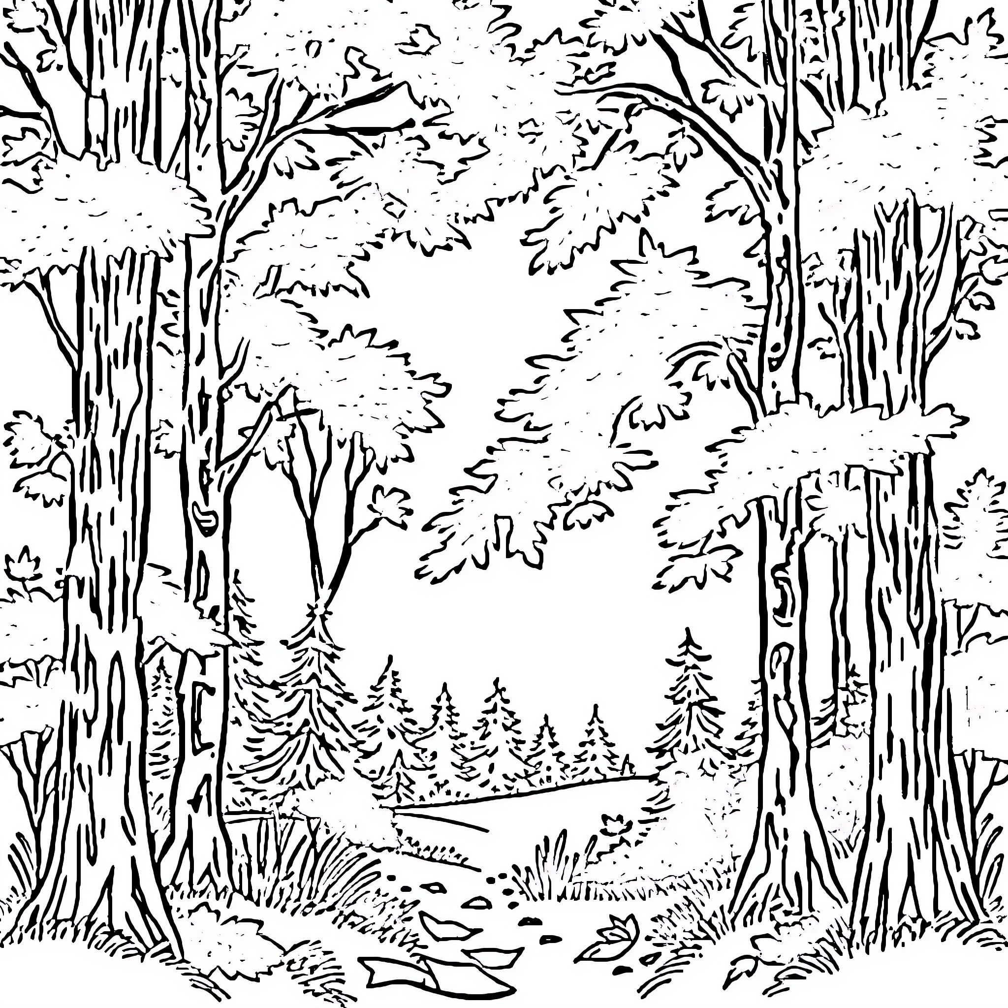 Wood forest with trees and nature landscape Coloring Page (free black-and-white line drawing printable PDF for all, from beginners to advanced learners, including children, teens, adults, and seniors)