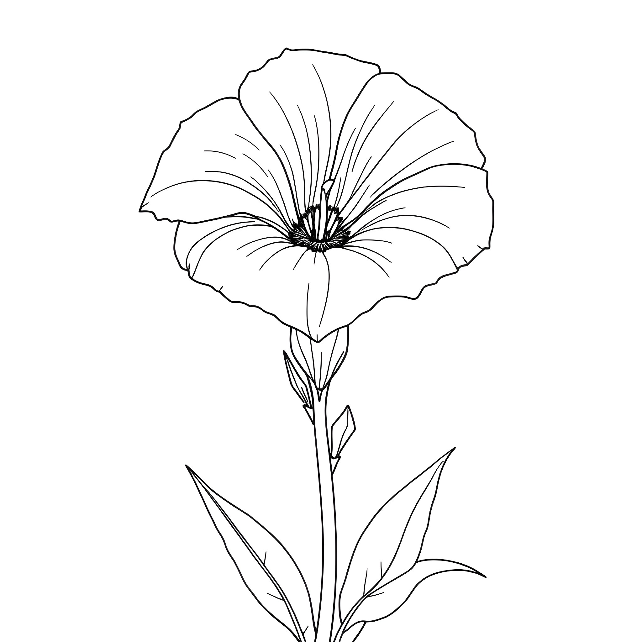 Bellflower blooming in the garden Coloring Page (free black-and-white line drawing printable PDF for all, from beginners to advanced learners, including children, teens, adults, and seniors)