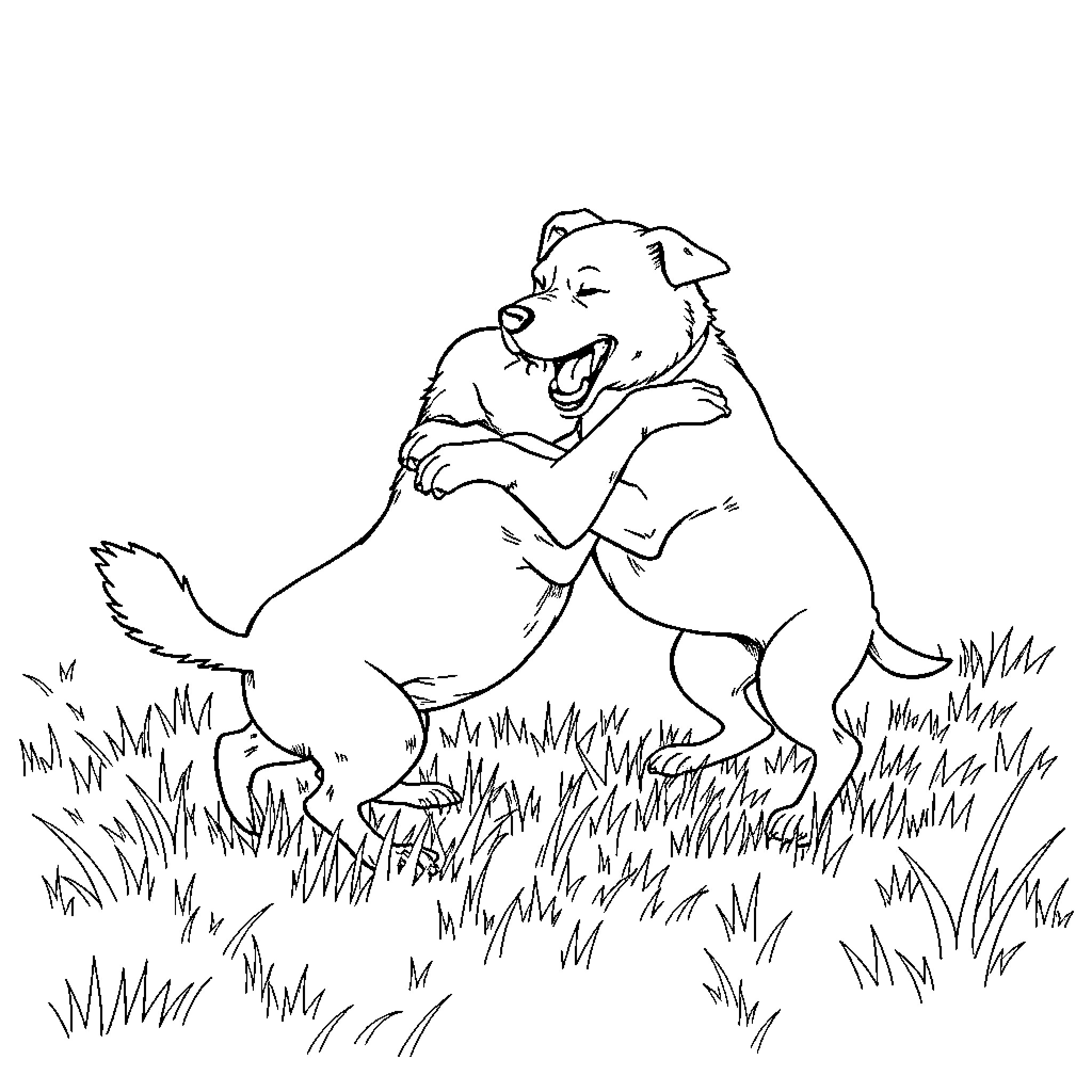 Dog running and playing in grassy field Coloring Page (free black-and-white line drawing printable PDF for all, from beginners to advanced learners, including children, teens, adults, and seniors)