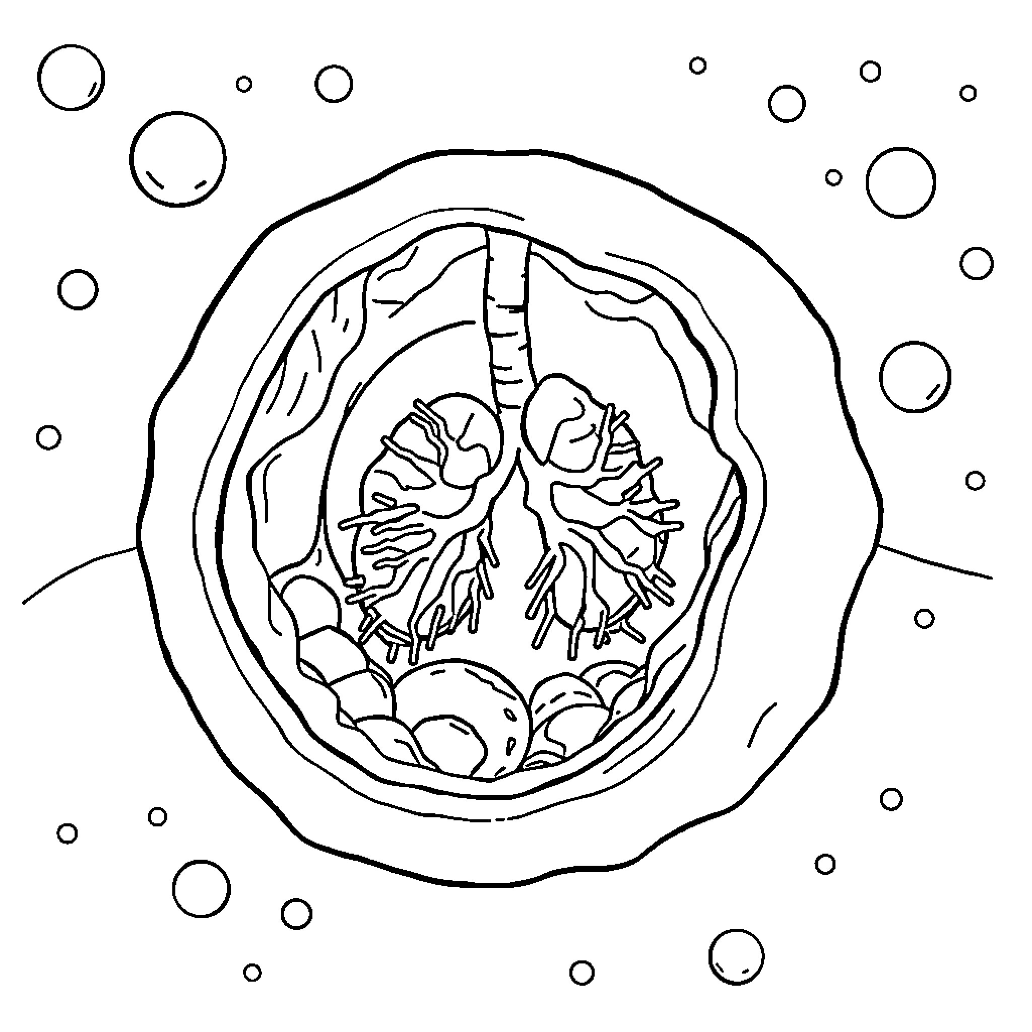 Cell dividing within a cellular environment Coloring Page (free black-and-white line drawing printable PDF for all, from beginners to advanced learners, including children, teens, adults, and seniors)