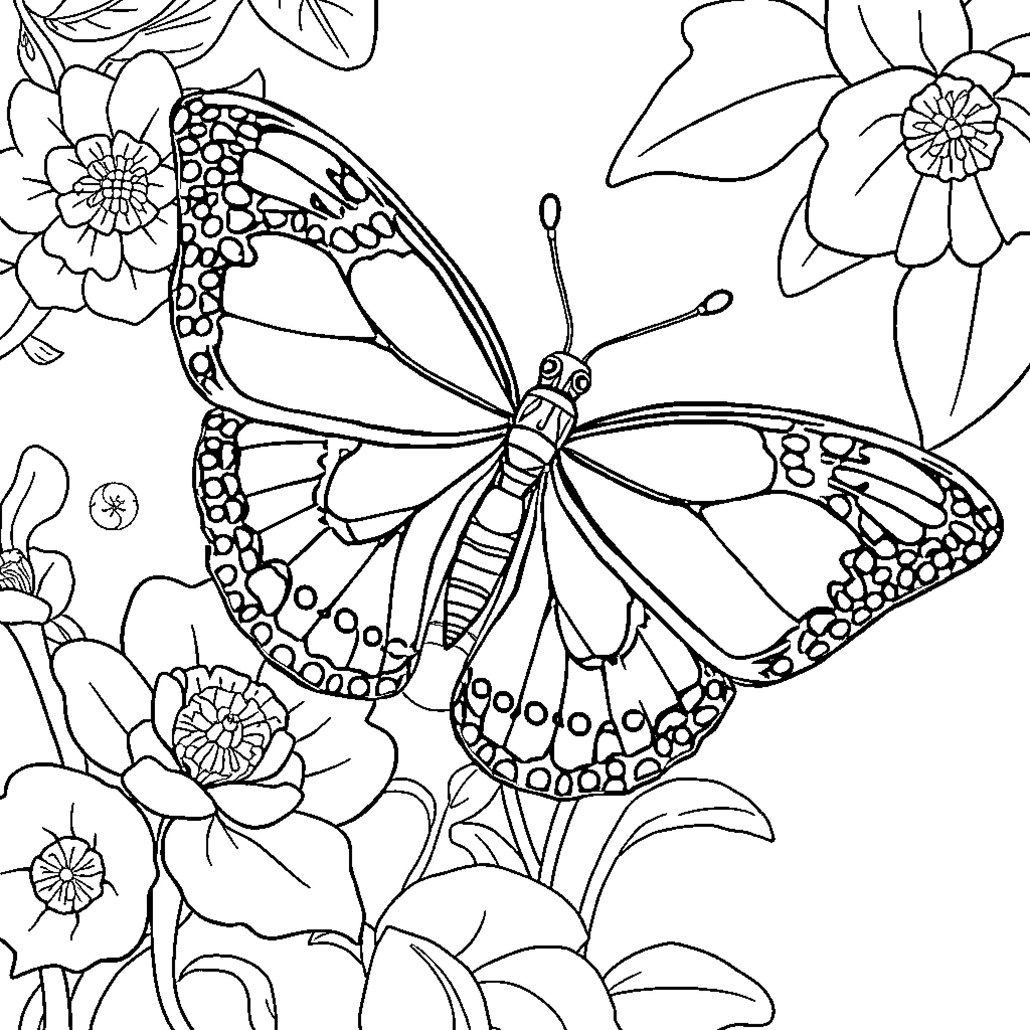 Butterfly with intricate patterns amidst floral surroundings Coloring Page (free black-and-white line drawing printable PDF for all, from beginners to advanced learners, including children, teens, adults, and seniors)