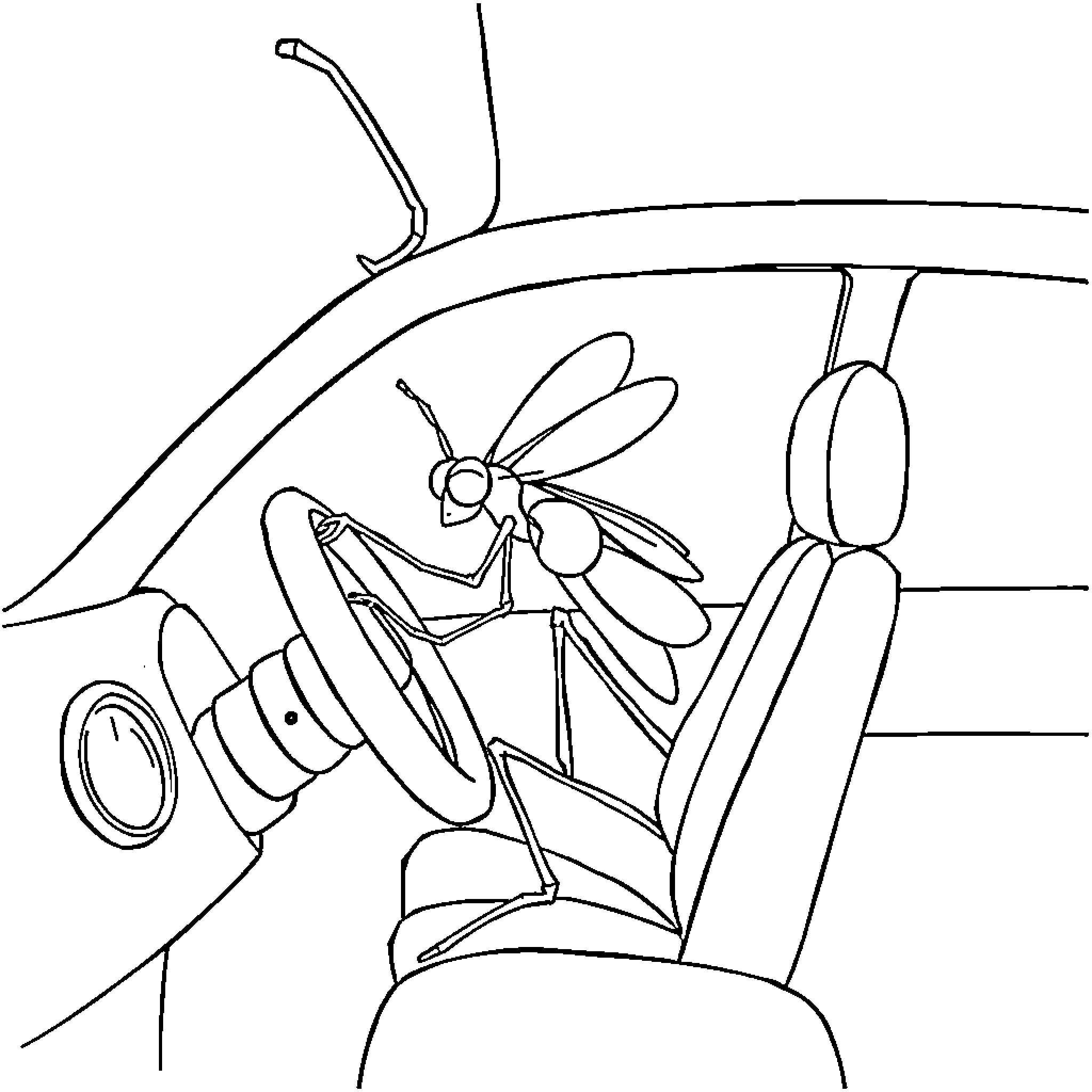 Mosquito riding in car Coloring Page (free black-and-white line drawing printable PDF for all, from beginners to advanced learners, including children, teens, adults, and seniors)