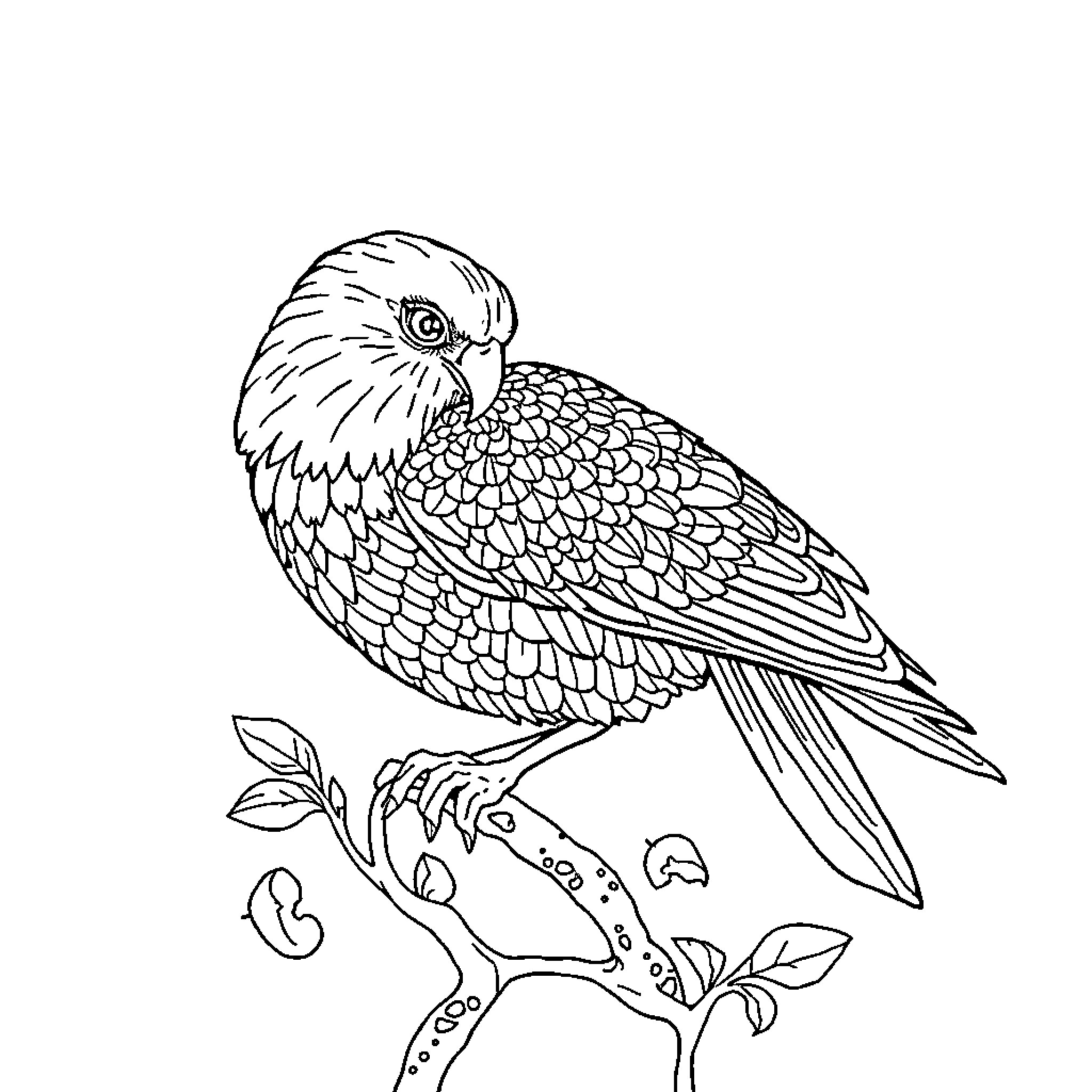 Fractals of a detailed parrot Coloring Page (free black-and-white line drawing printable PDF for all, from beginners to advanced learners, including children, teens, adults, and seniors)